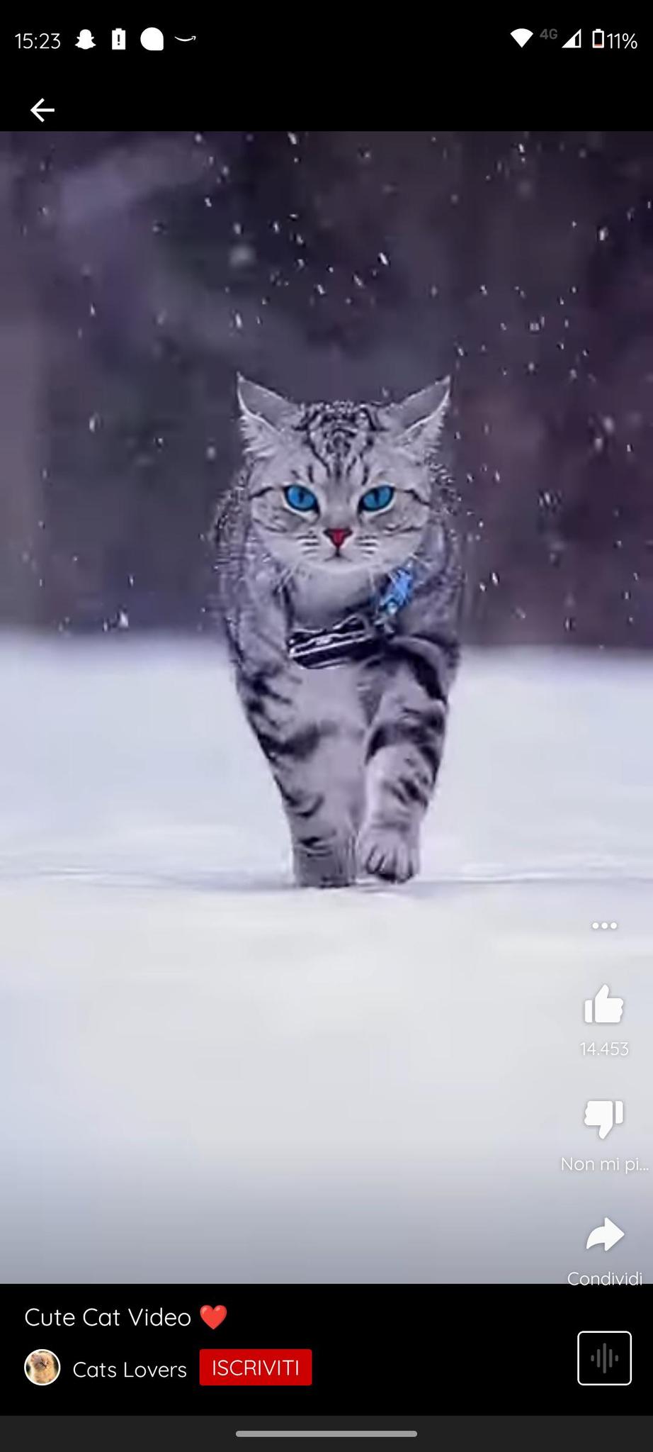 user avatar