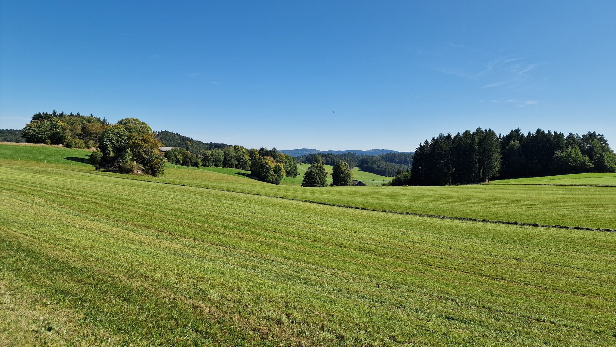 Güterweg nach Neumelon