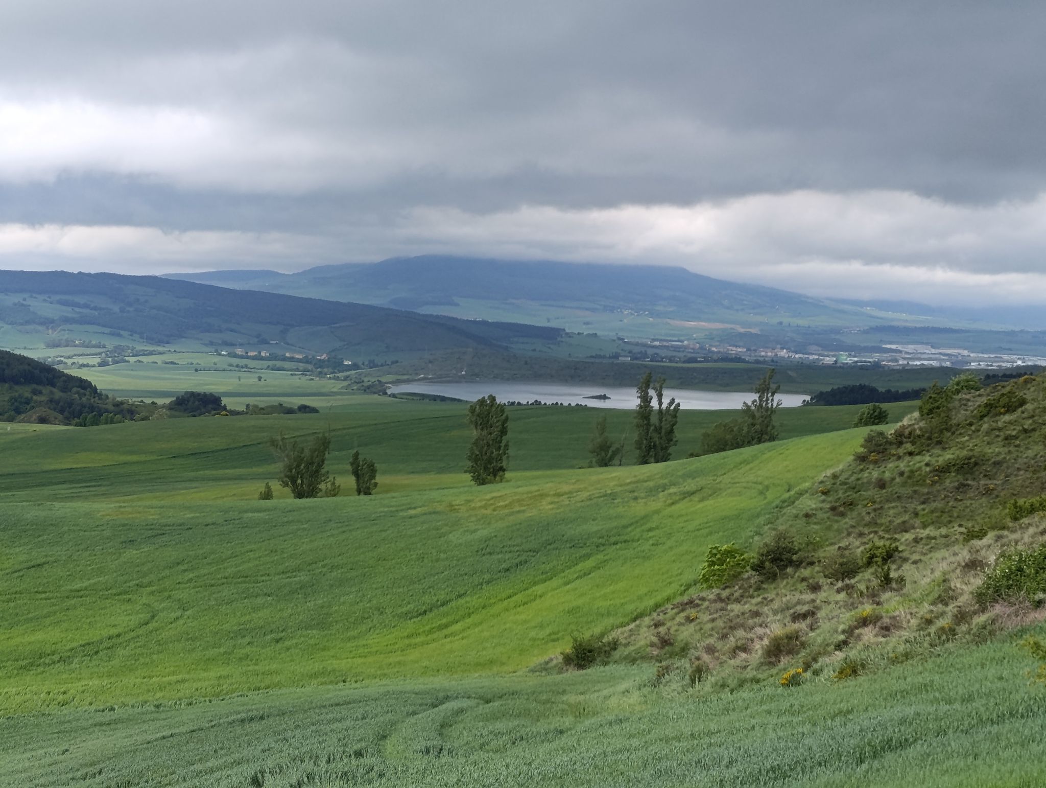 vistas al lago