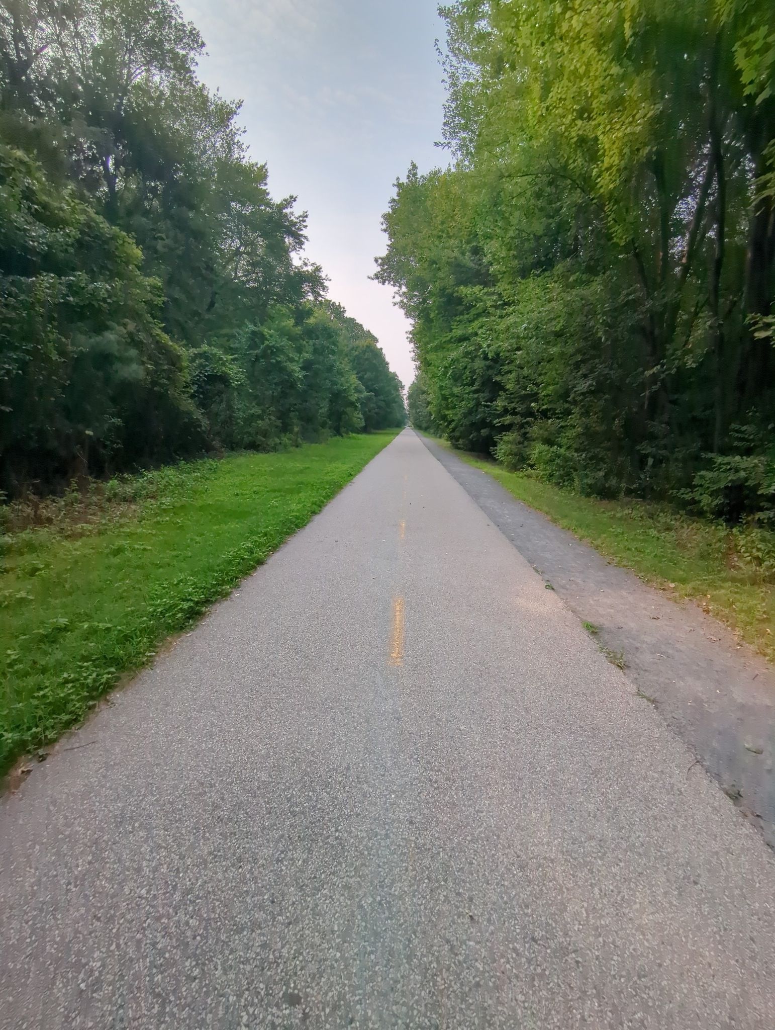 A long paved path lined by dense green trees under a bright sky. - World War II Veterans Memorial Trail