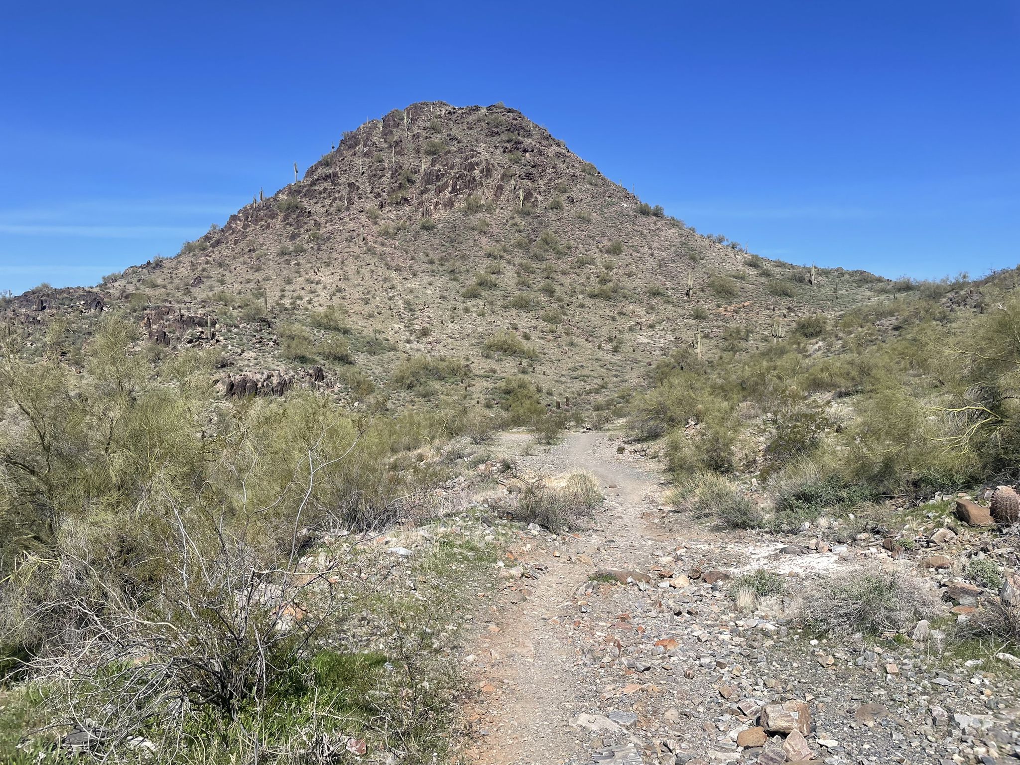 A dirt path leads towards a rocky desert mountain under a clear blue sky. - Charles M. Christiansen Trail loop from Tatum Boulevard Trailhead