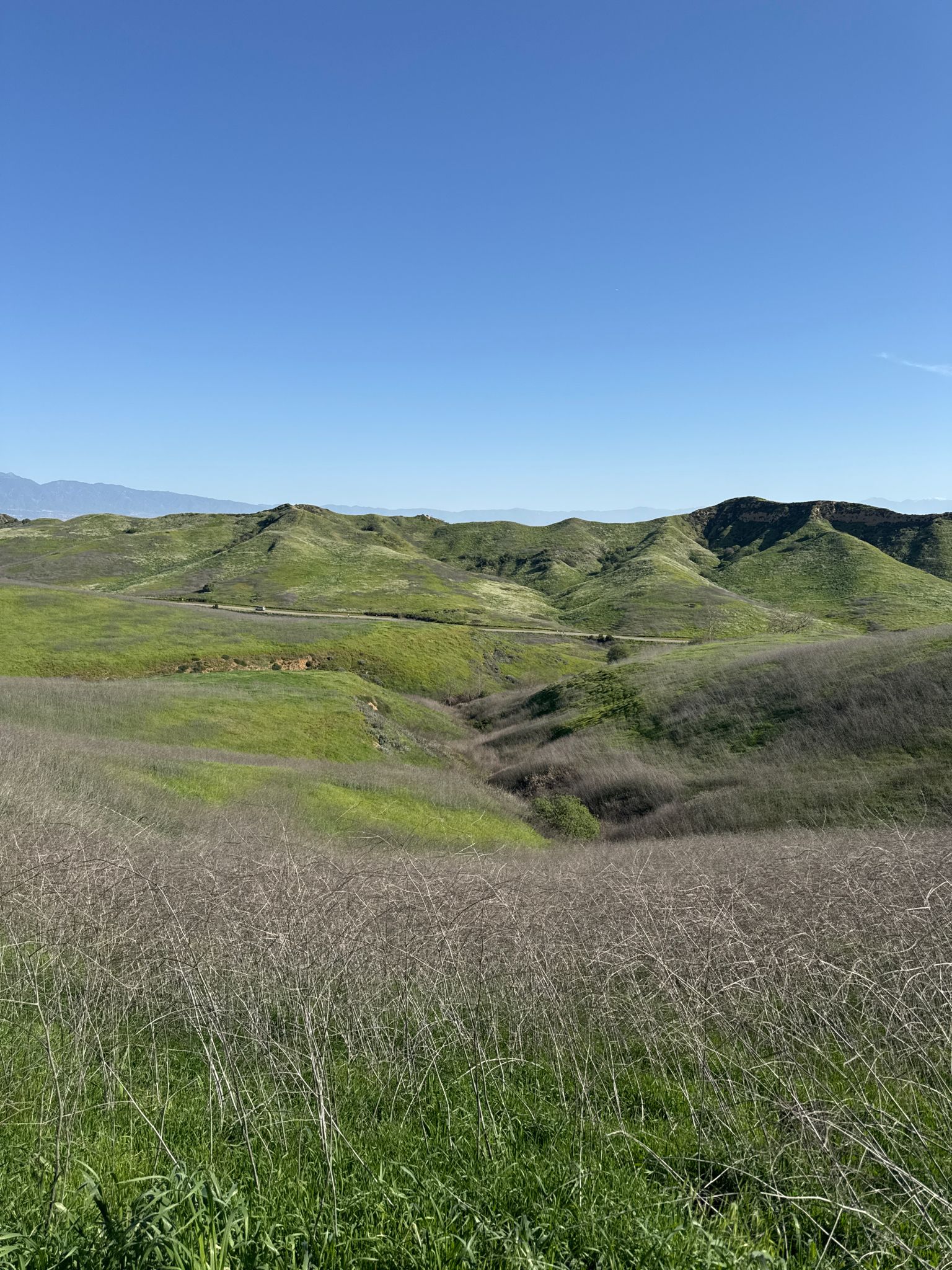 Expansive green rolling hills under a clear blue sky with tall grass. - Bane Canyon Short Loop Trail