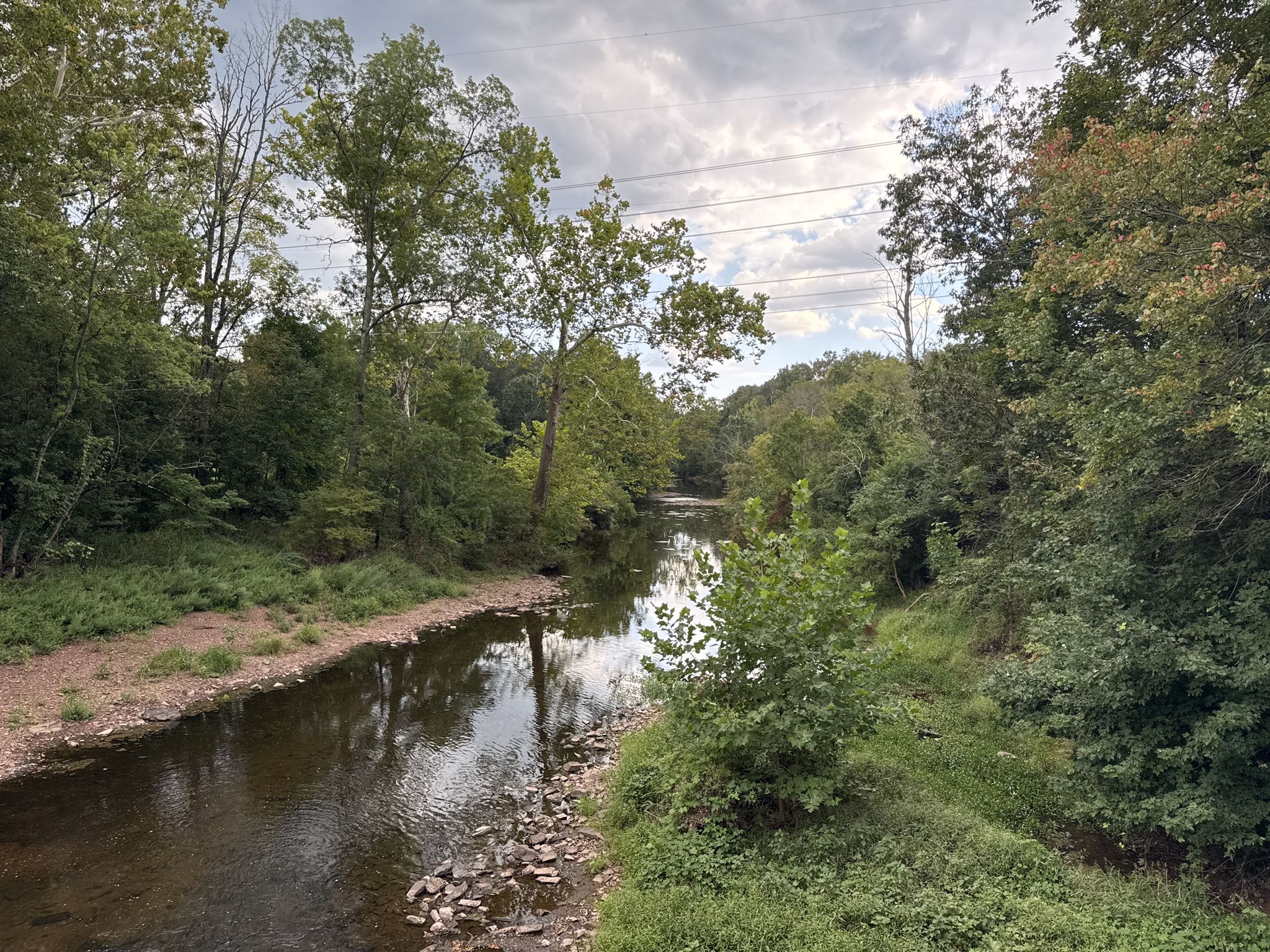 A calm river flows through a dense green forest under a cloudy sky. - Boathouse Row – Martin Luther King Jr. Drive loop from Ellsworth-Federal