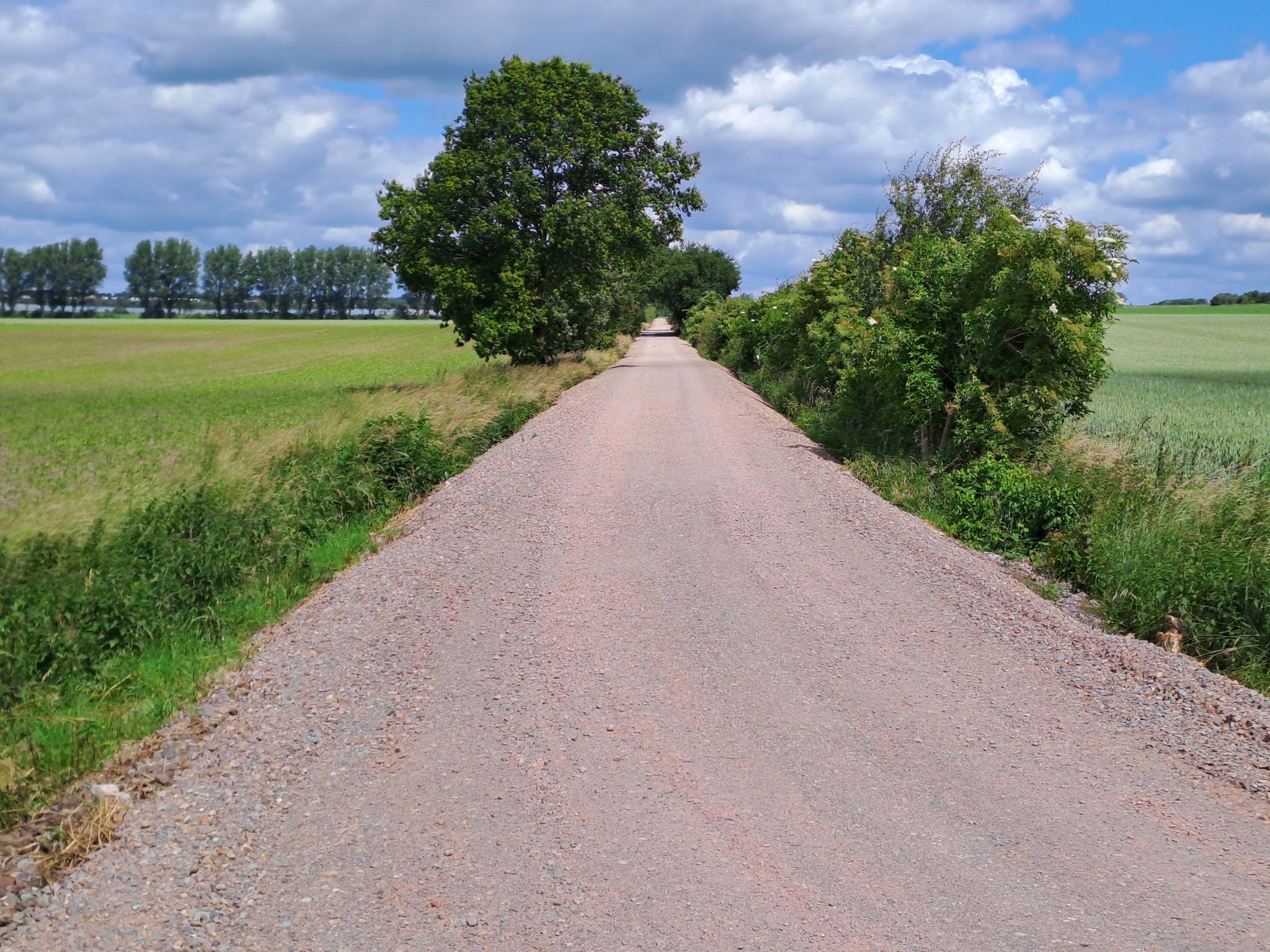 Ferkeltaxen-Radweg (Bauabschnitt 2; Fertigstellung 08.24)