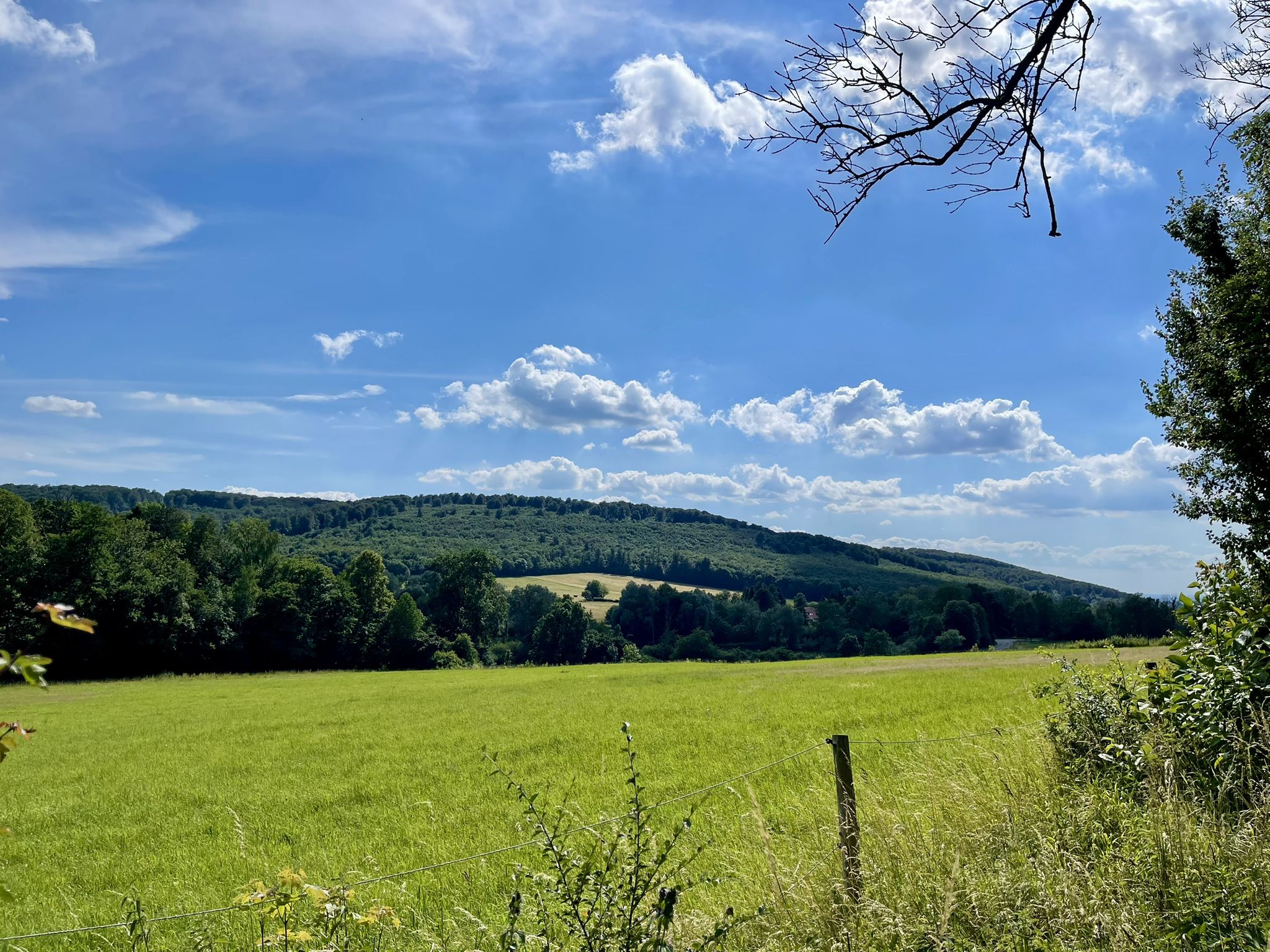 Wiesen und Wälder und jetzt auch blauer Himmel. Wunderbar 🤩