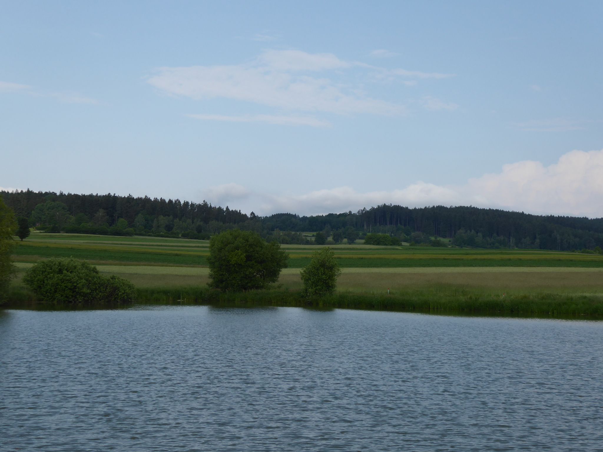 Teich bei Reinprechts
