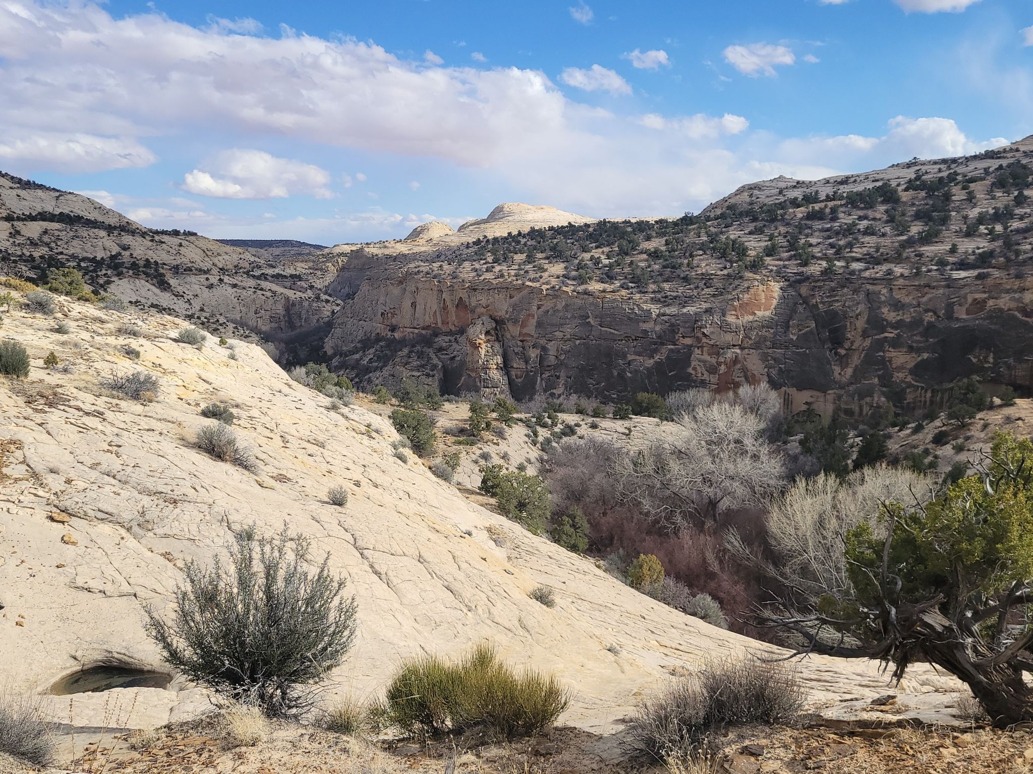 calf creek canyon