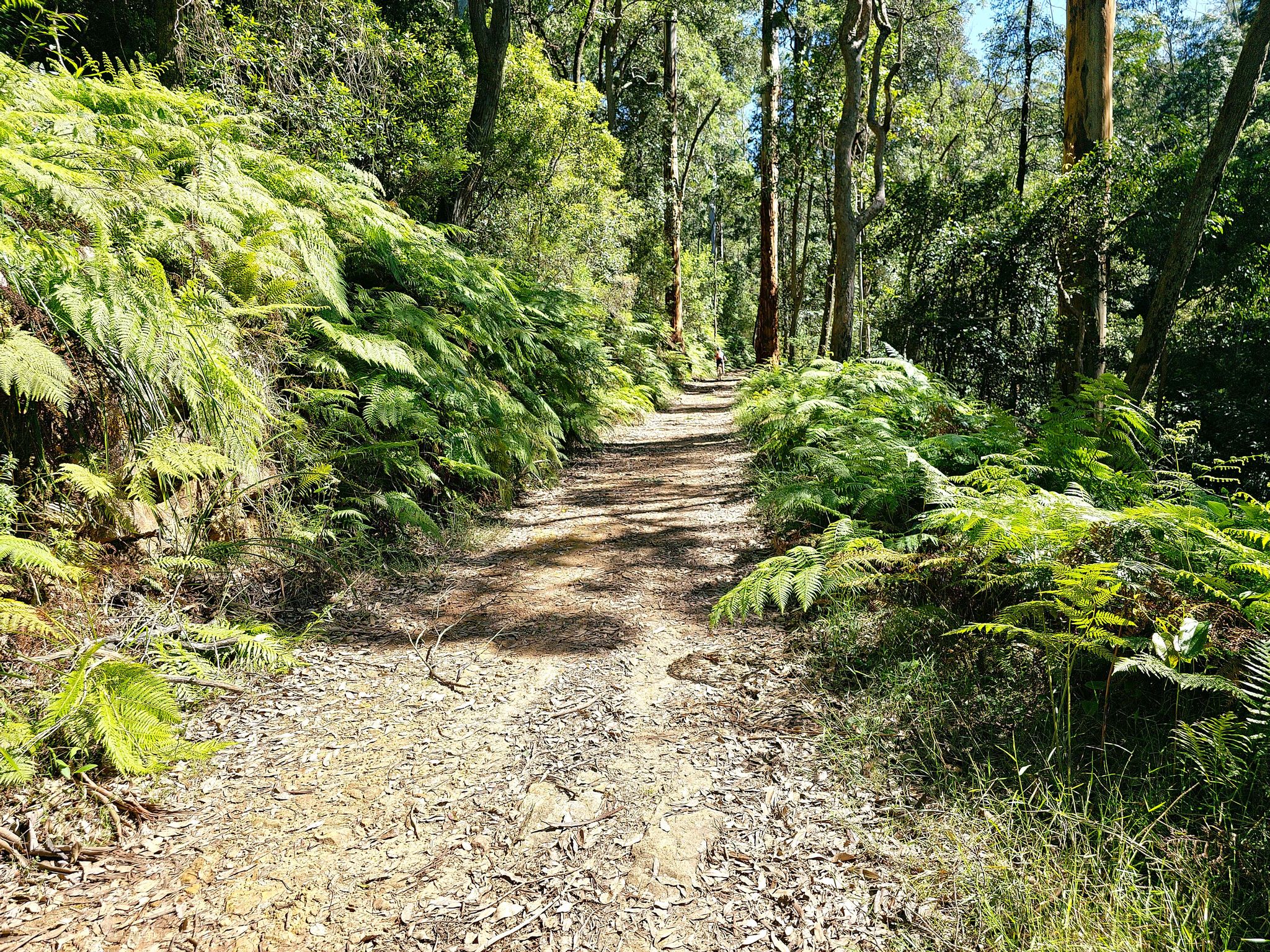 Andersons Trail