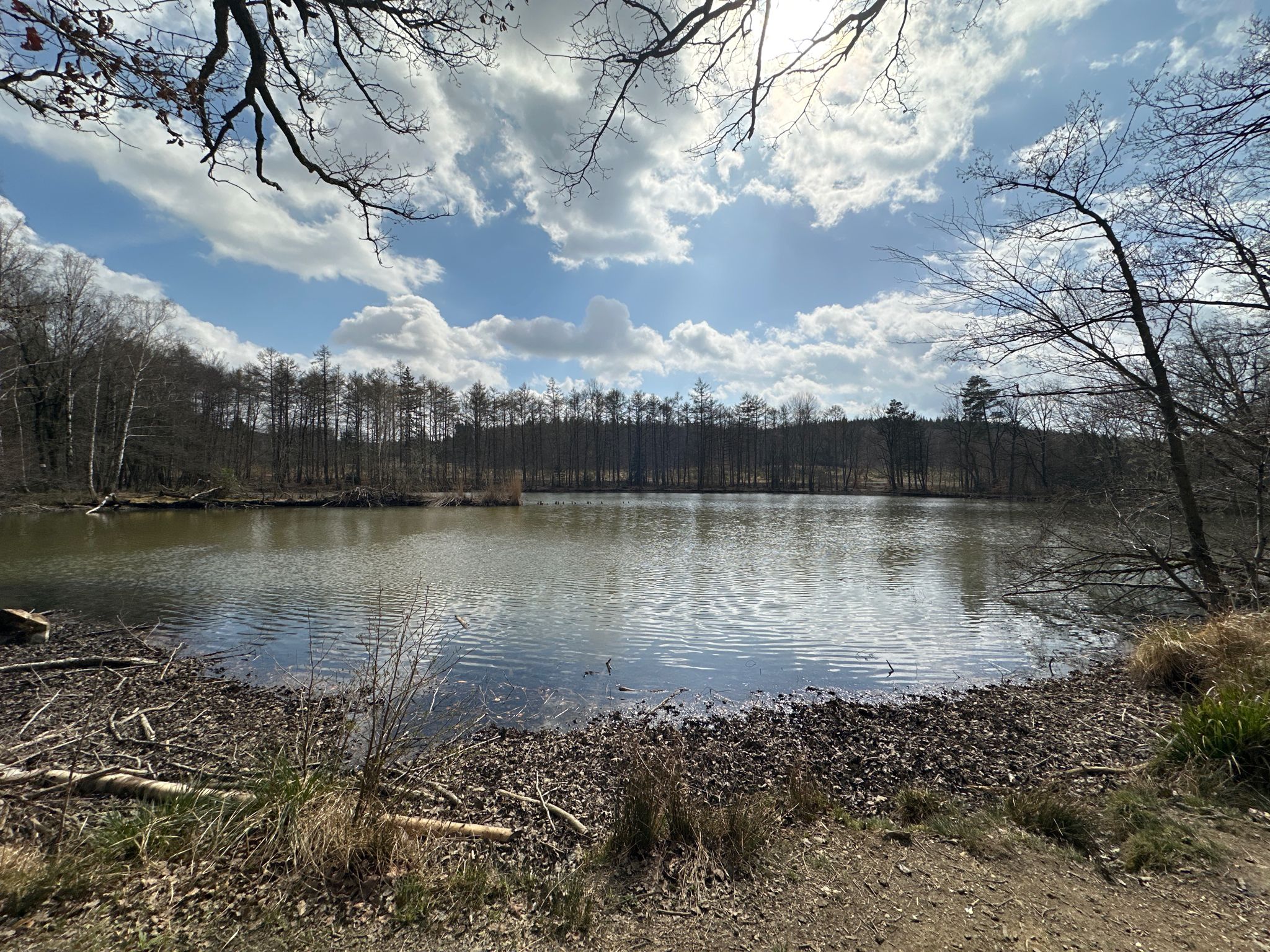 Orchelsweiher