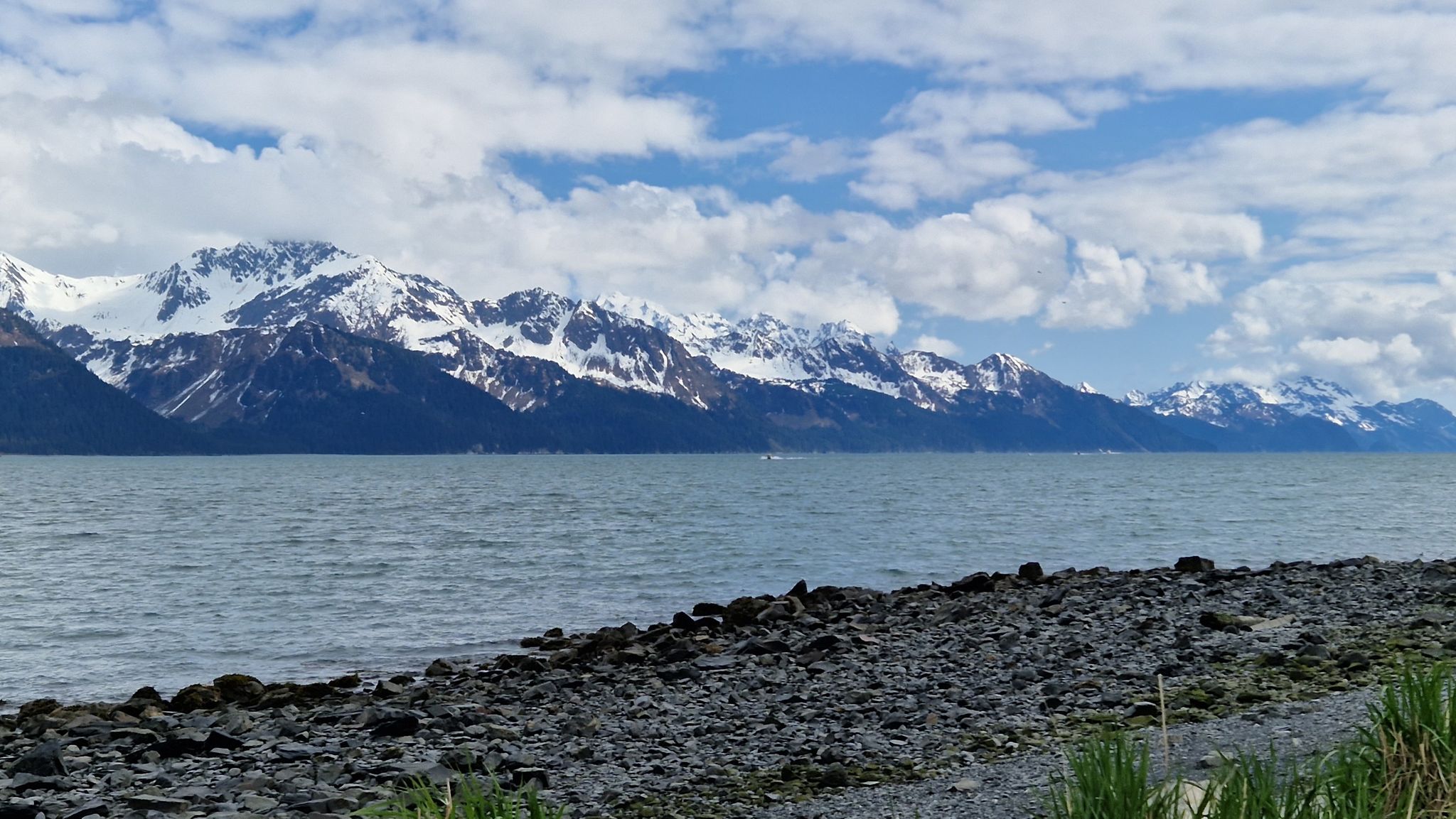 Rocky shore, vast water, and snow-capped mountains under a bright, cloudy sky. - Seward Waterfront Shore Path
