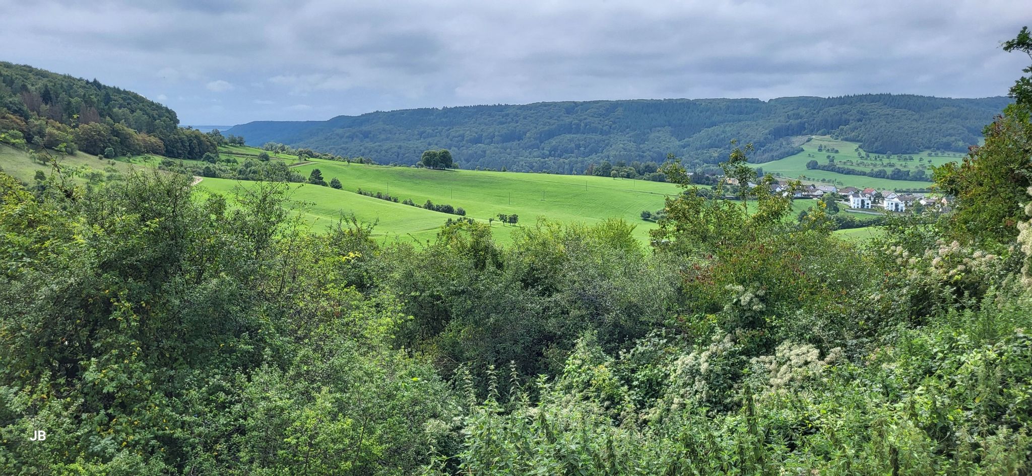 Blick zum Prümtal