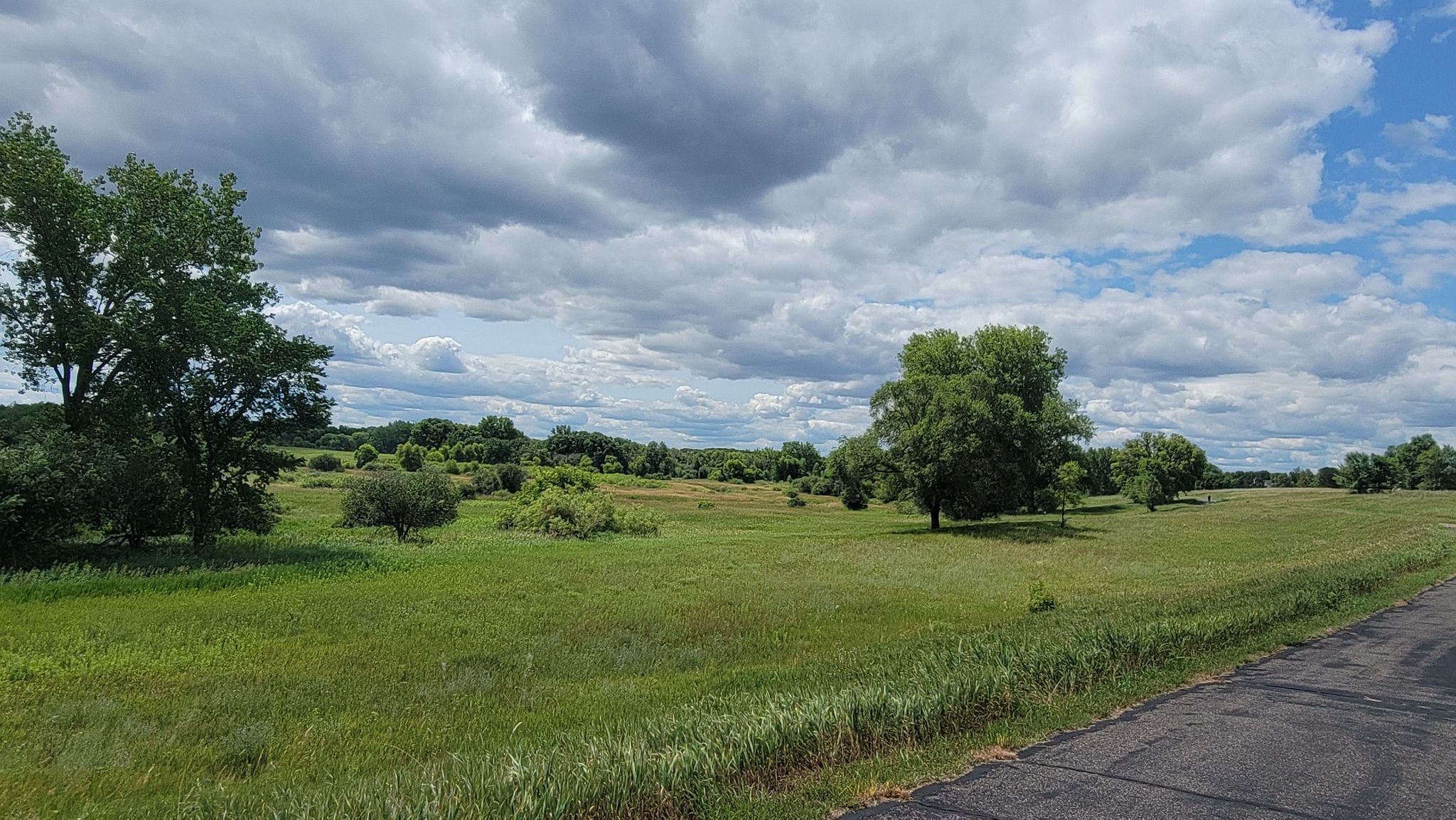 Expansive green field with scattered trees under a cloudy blue sky. - Through the pines loop from Mounds View