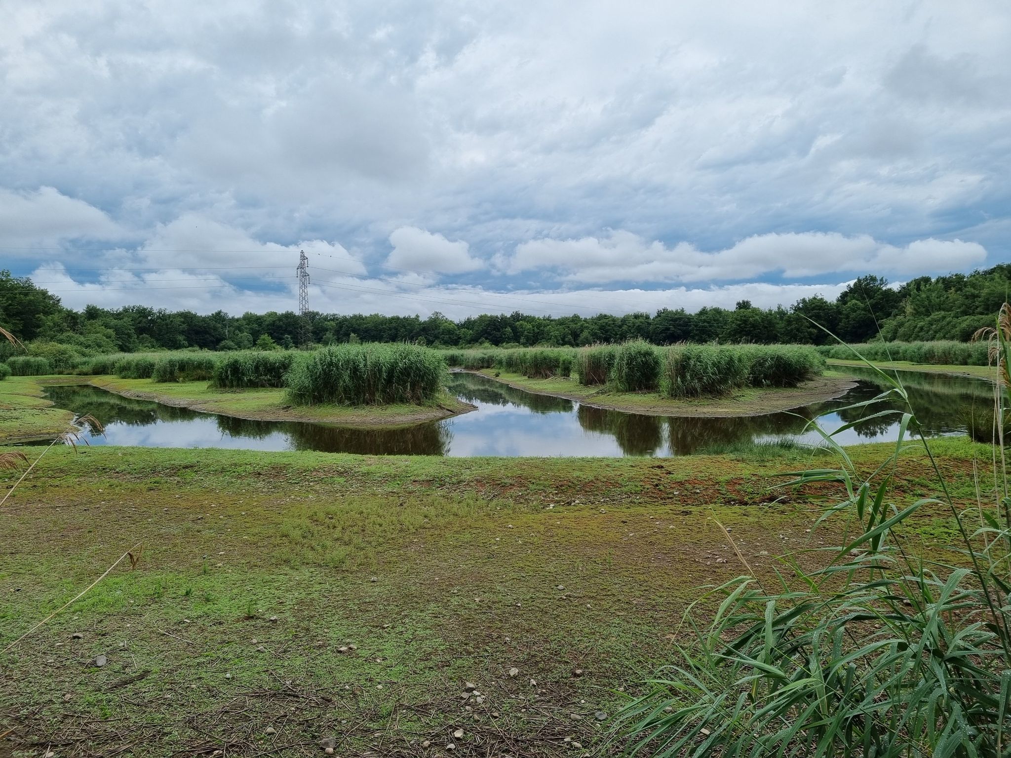etang