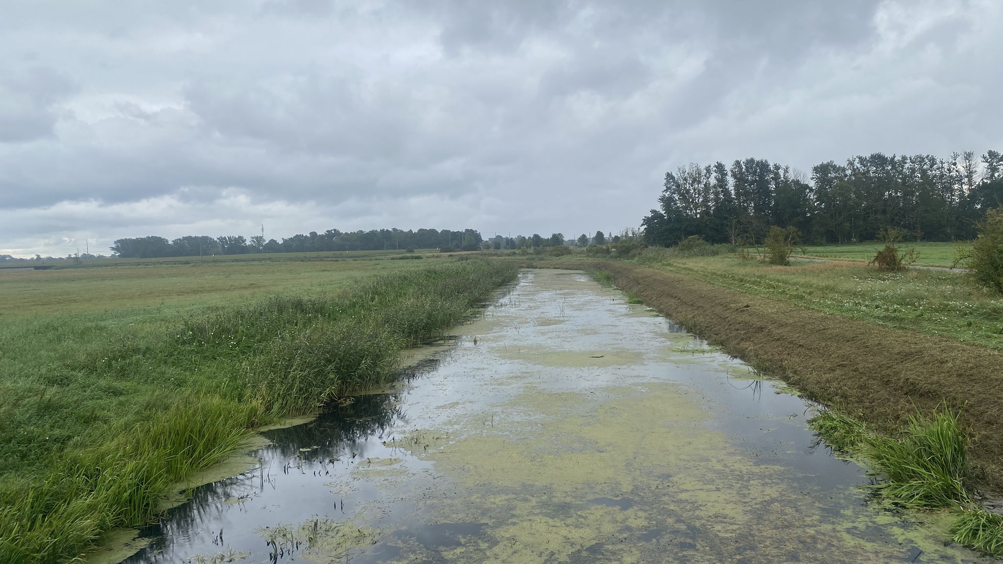 Die Zarow hinter Ferdinandshof