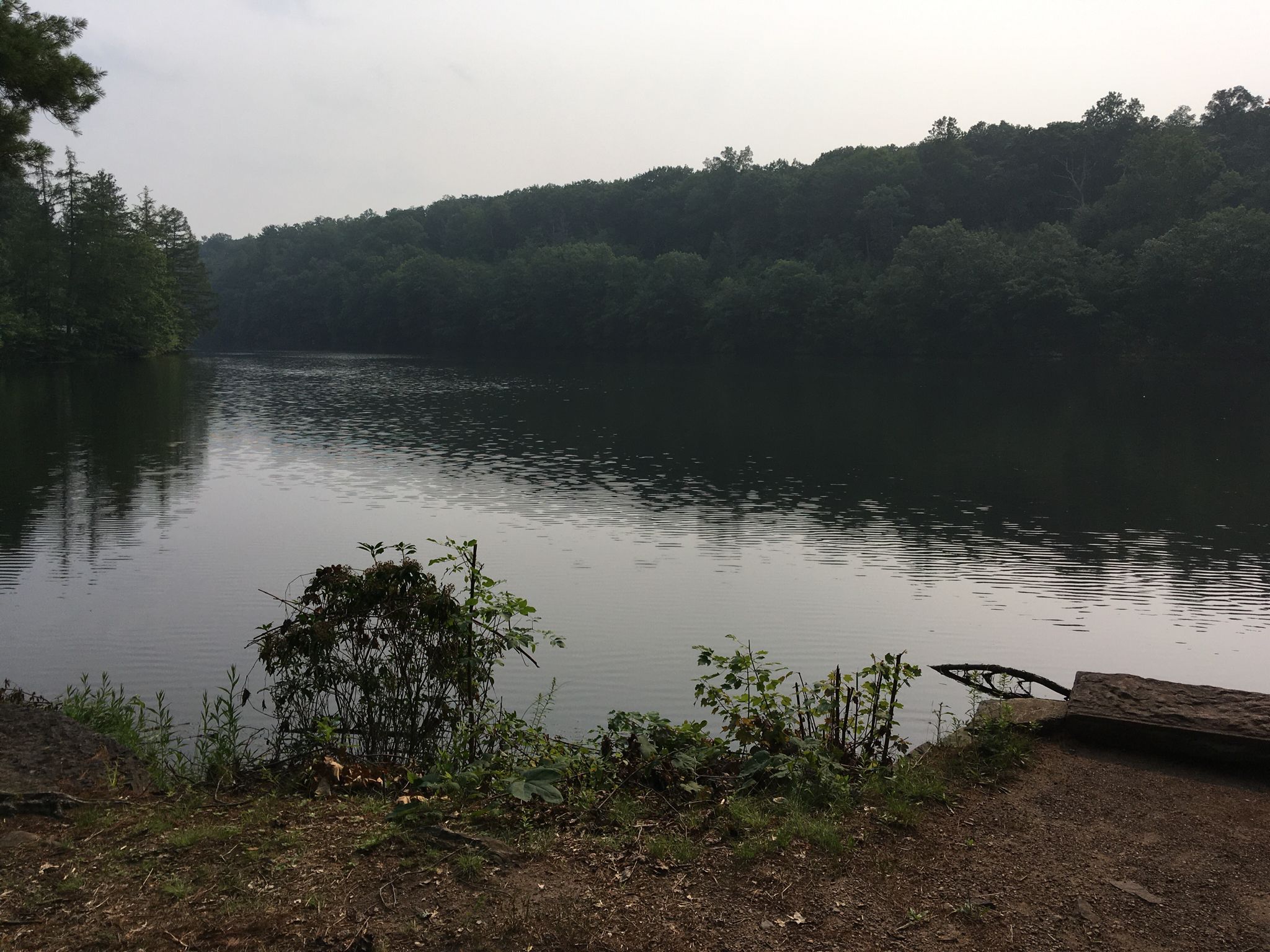 Calm lake surrounded by dense green forest under an overcast sky. - Hartford Reservoir Number 5 loop from Town of Farmington Property