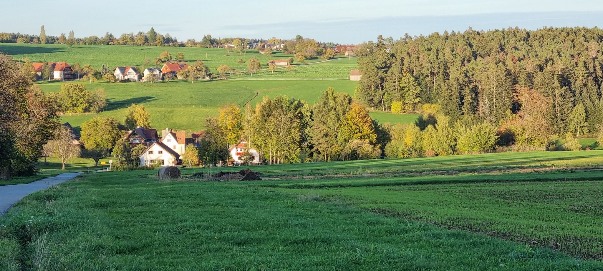 Blick auf Weltenschwann