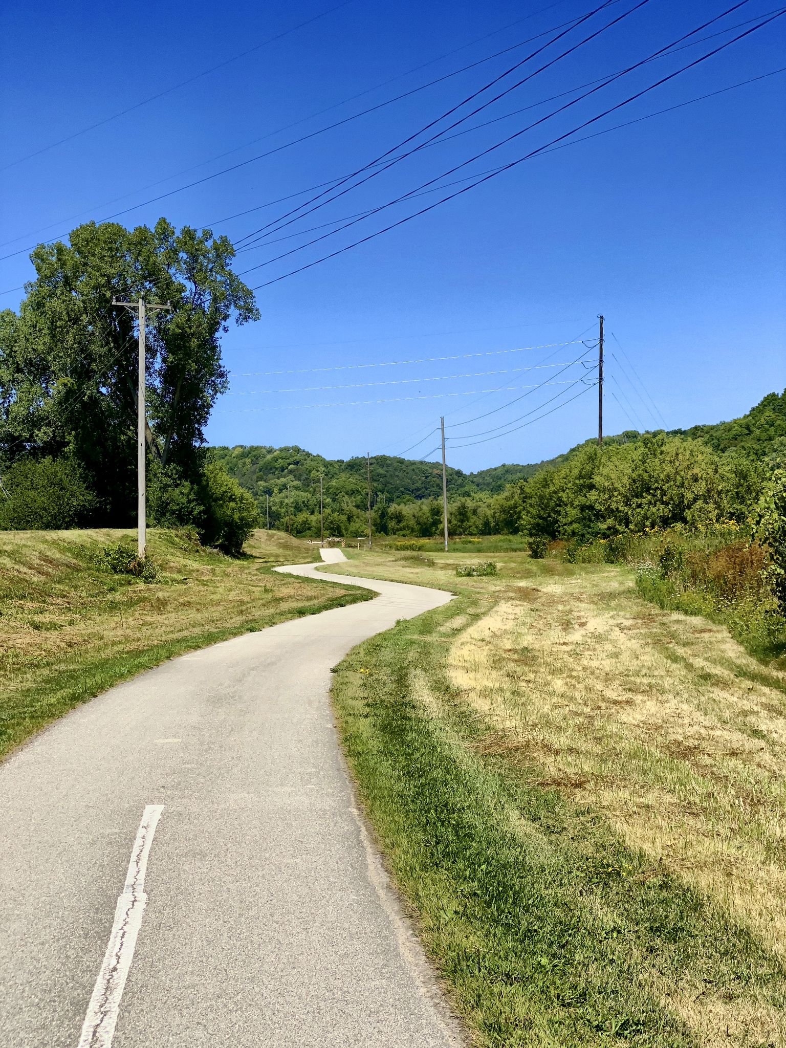 Paved winding path through green fields, power lines overhead, sunny day. - Decorah, Iowa loop from Decorah