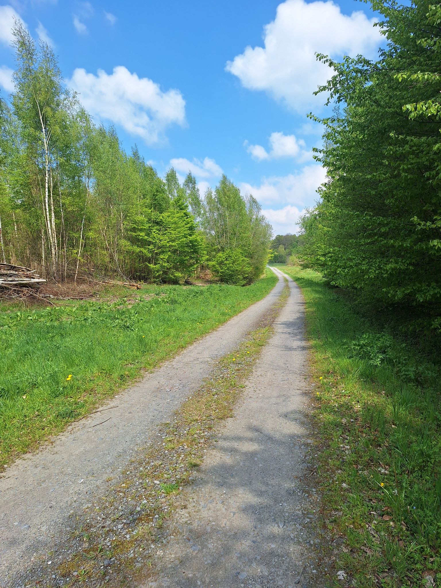 gravelpad door het Foret Domaniale de Mormal