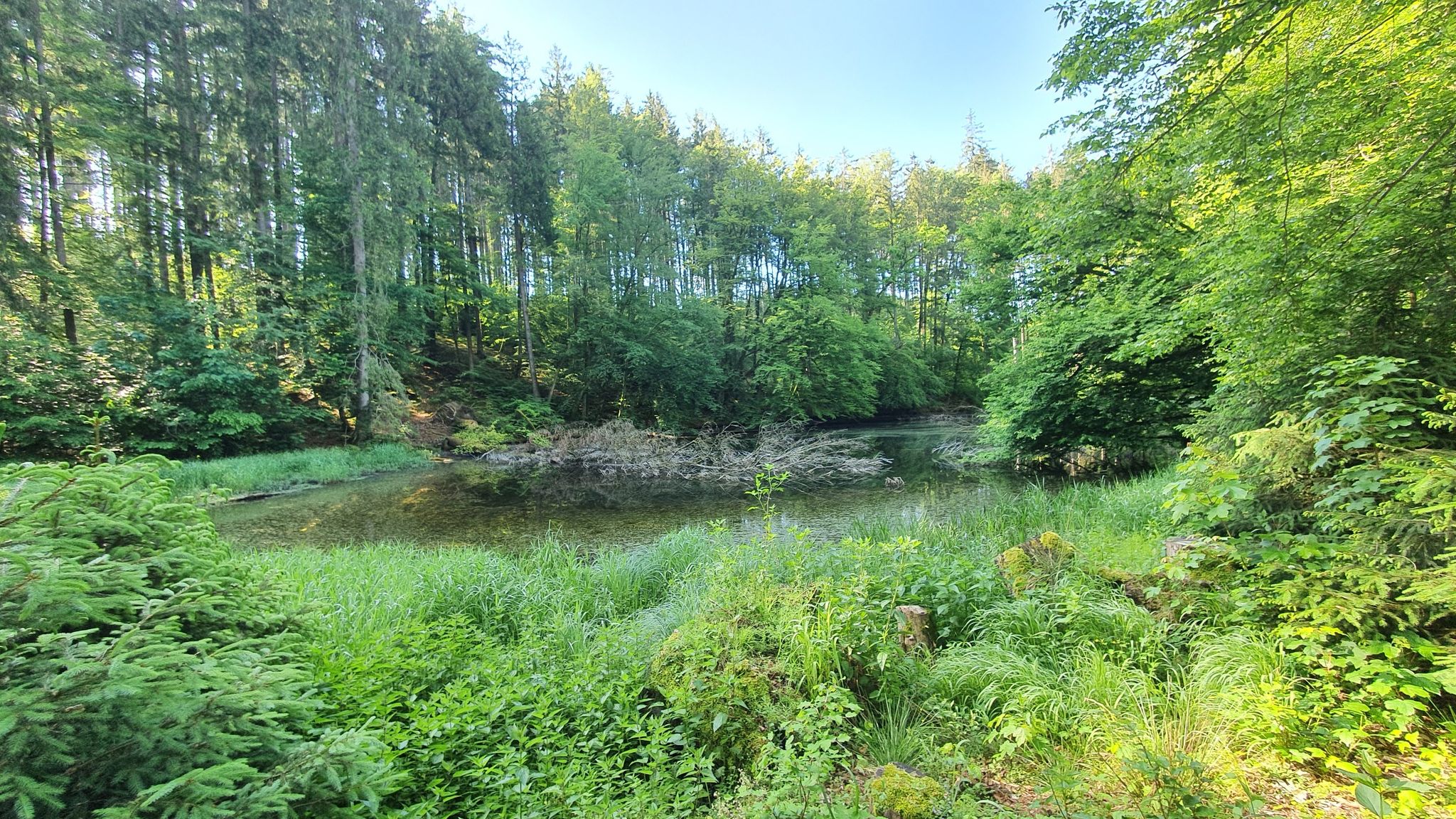 Der kleine See zwischen Rauen Boschen und Huckinger See
