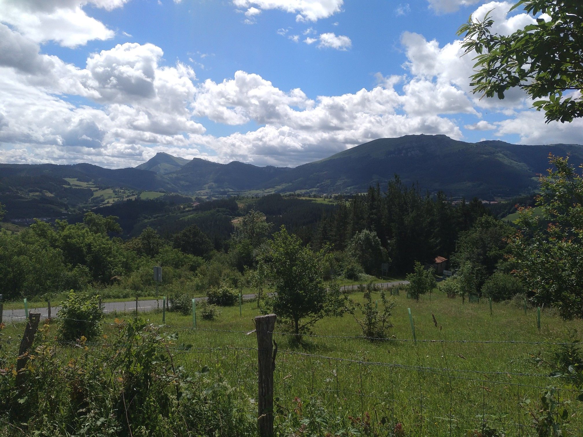Untzila