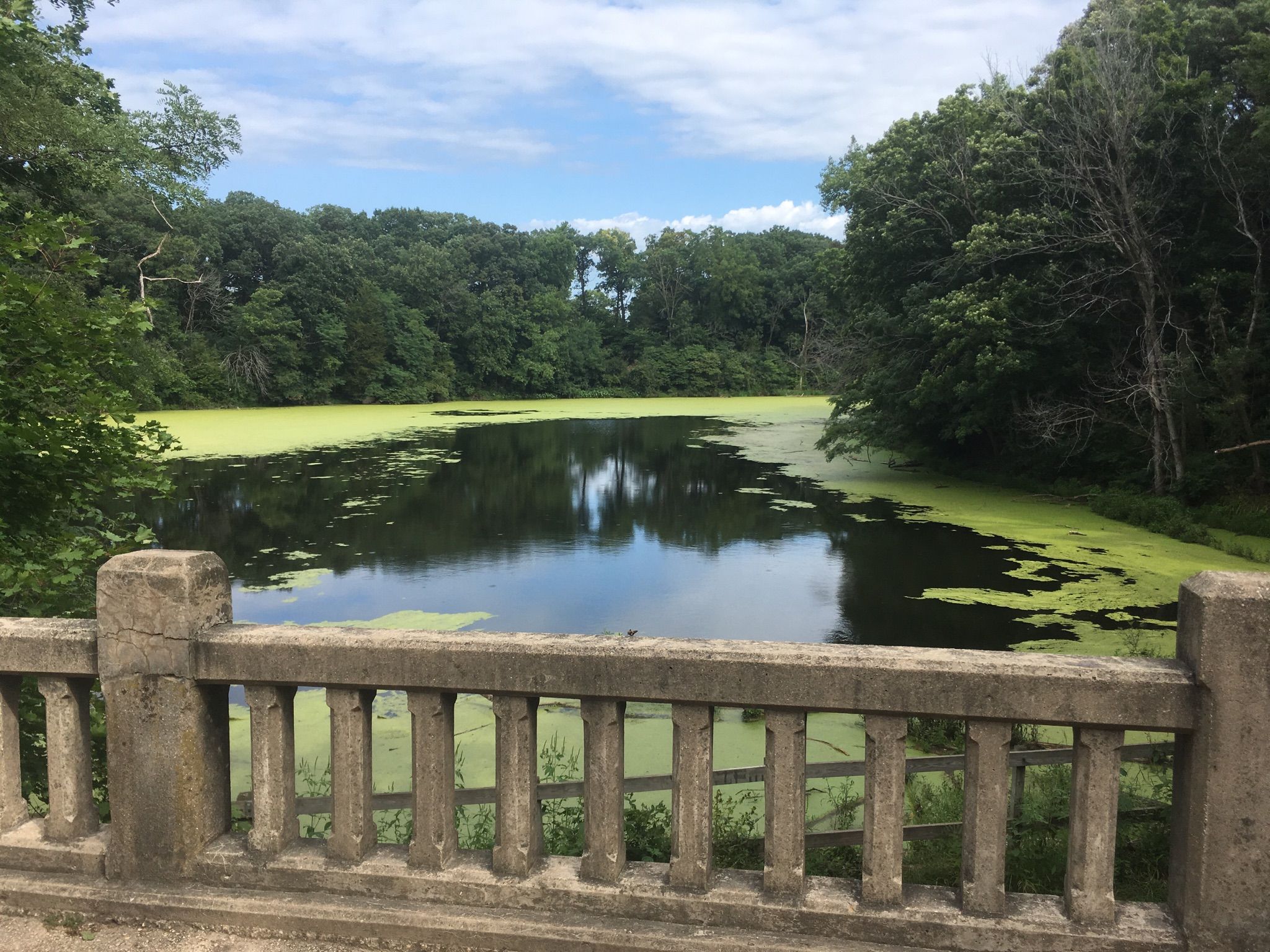 Stone bridge railing overlooks a pond covered in green algae, surrounded by trees. - Lake Falls – Cascade Falls loop from Matthiessen State Park
