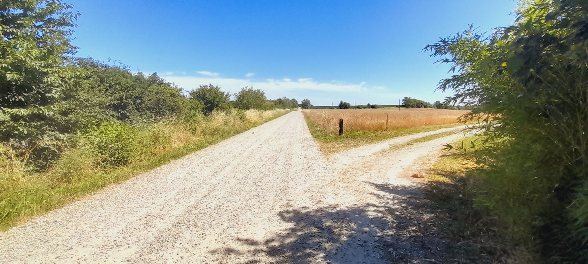 Direzione Pecetto di Valenza