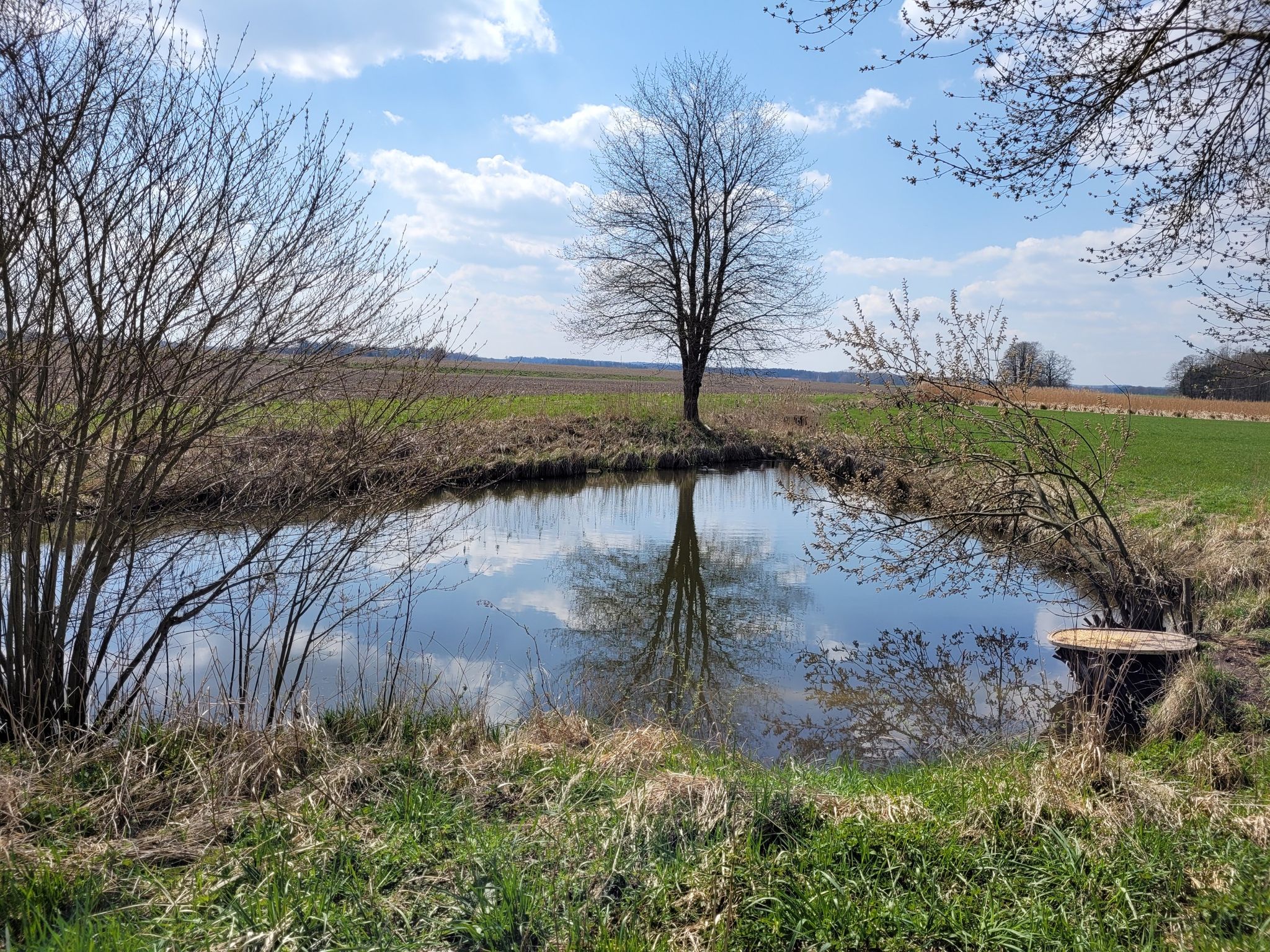 Am Teich