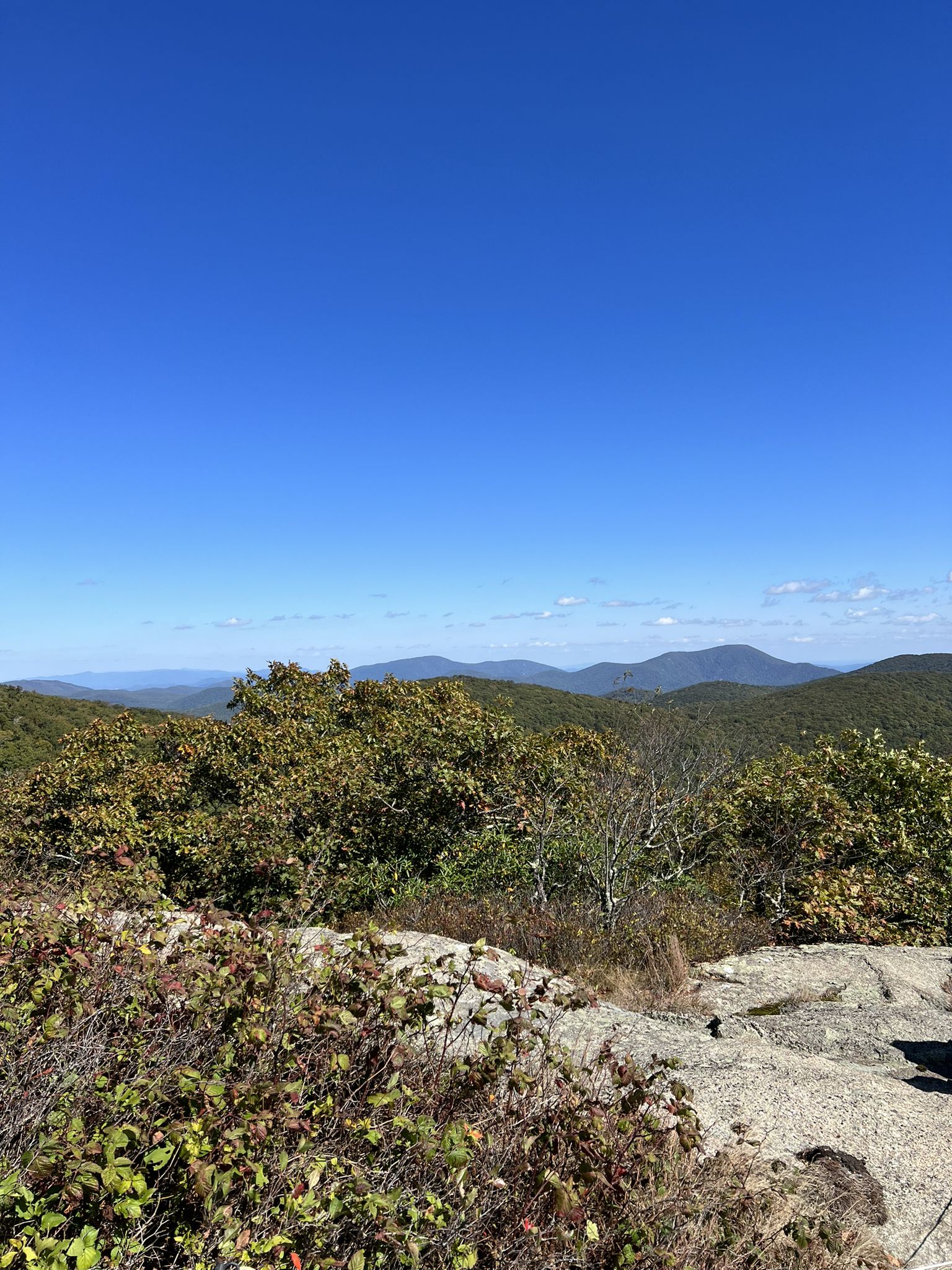 Bright daylight view of distant mountains over green trees and rocky terrain. - Spy Rock Trail via Cash Hollow