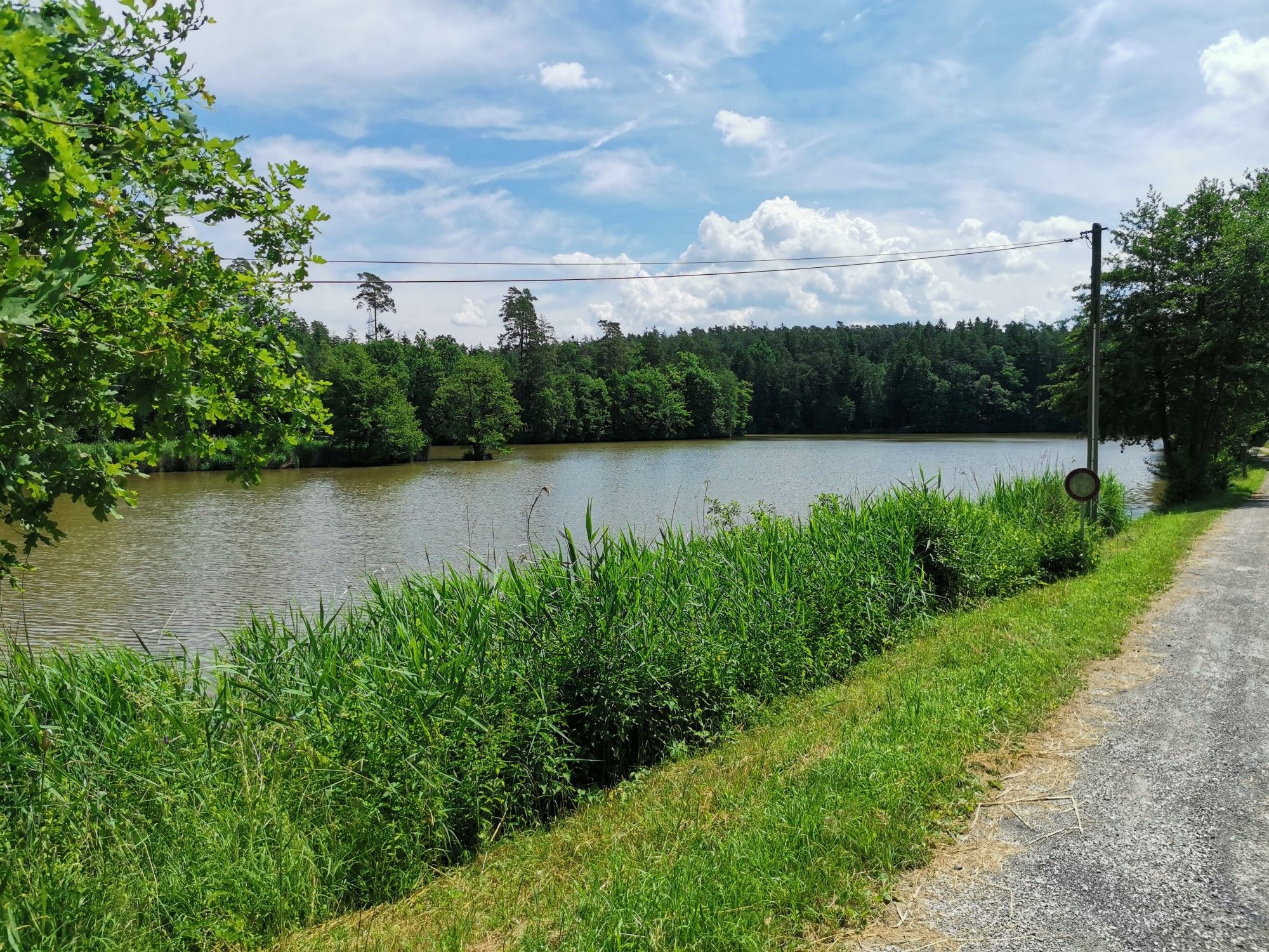 Dürrmühlenteich