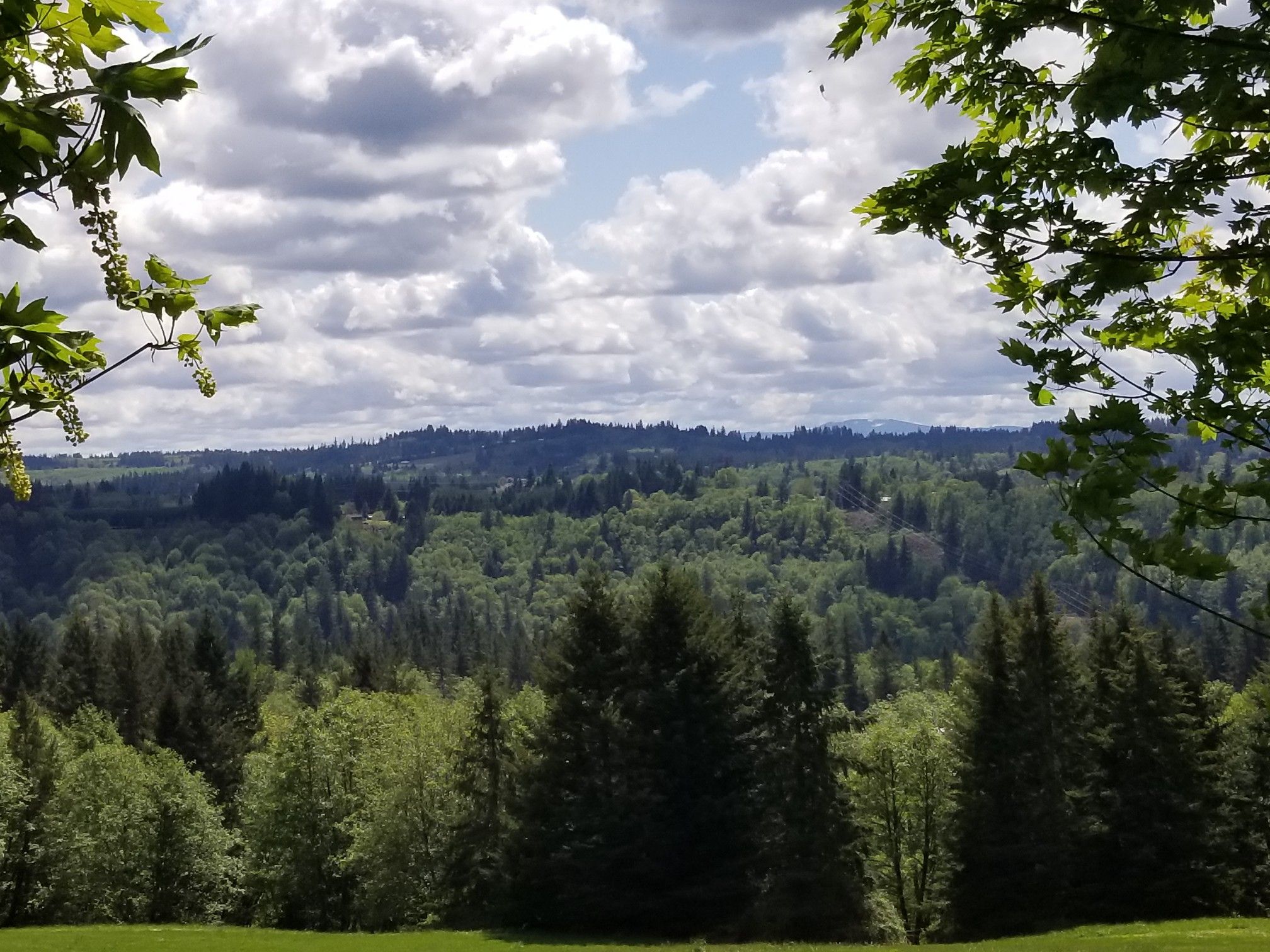 Expansive view of lush green forested hills under a partly cloudy sky. - Barlow Wayside County Park from Gresham