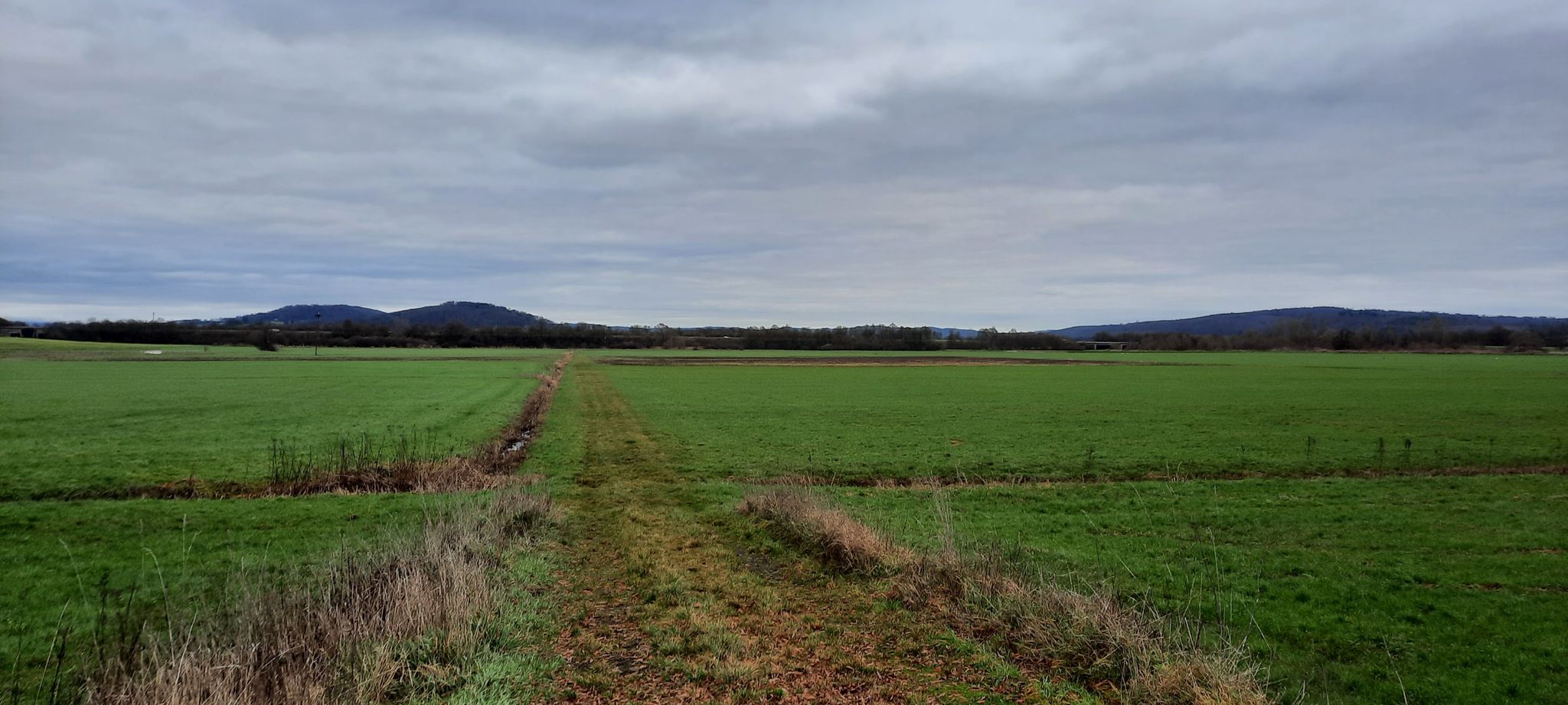 Blick über die Auen auf den Glauberg