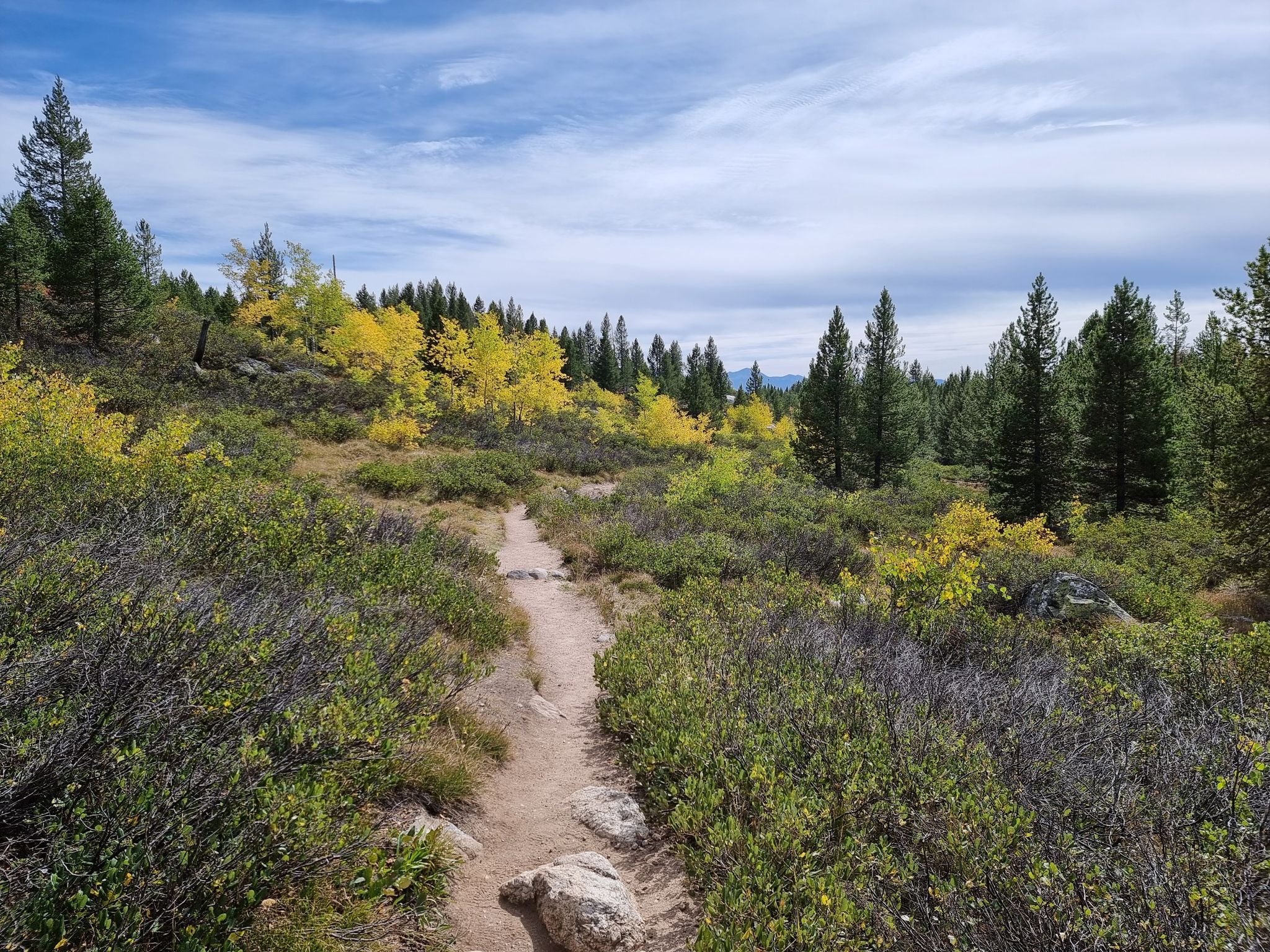 Dirt path through autumn foliage and pine trees under a cloudy sky. - Taggart Lake-Bradley Lake Loop