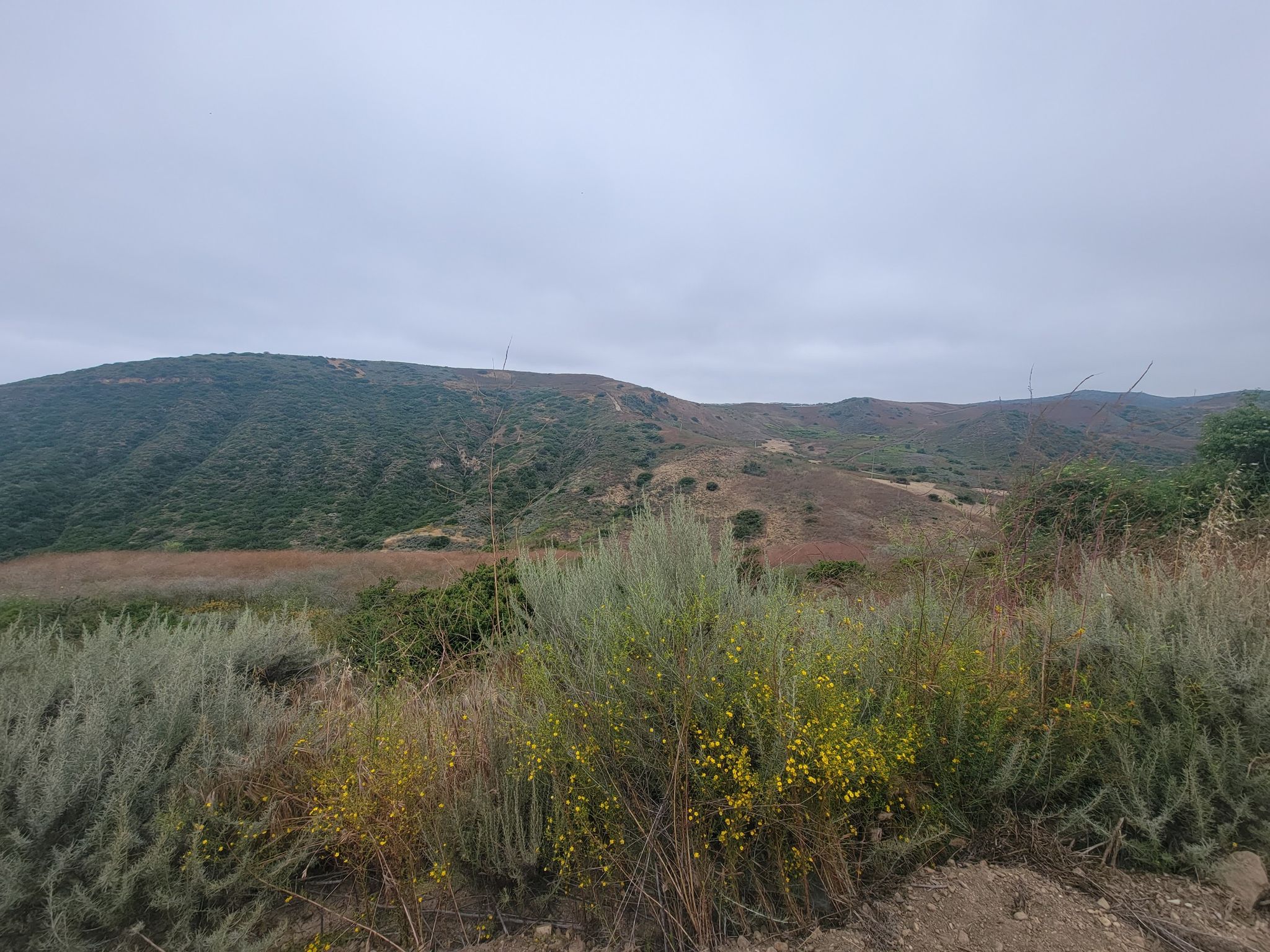 Overcast sky above rolling hills covered in green and brown brush. - Pacific Ridge Trail – Laguna Coast Wilderness Park loop from Laguna Coast Wilderness Park
