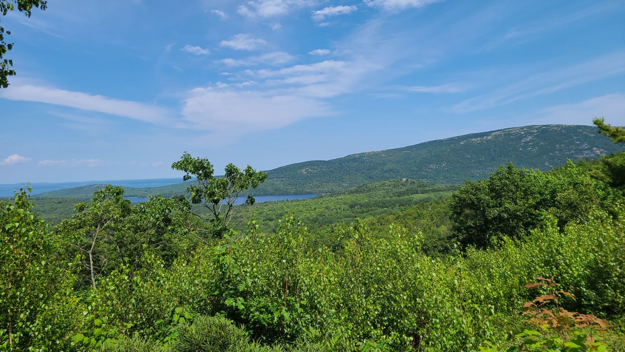 Expansive view of green forest, distant lake, and a bright blue sky. - Upper Hadlock Pond – Around-Mountain Carriage Road loop from Acadia National Park Headquarters