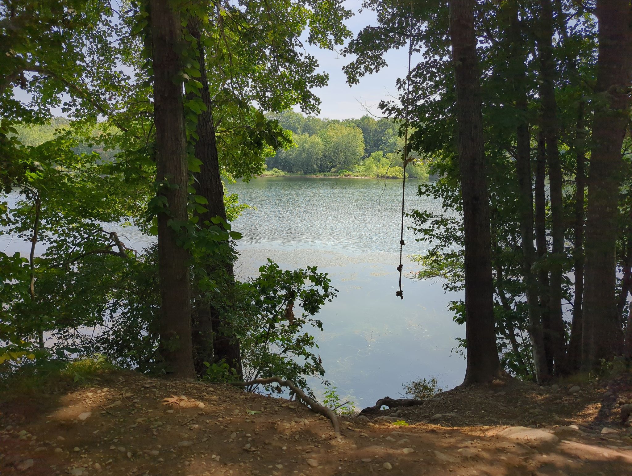 Lake view through green trees with a rope swing on a sunny day. - Gammino Pond Loop Trail