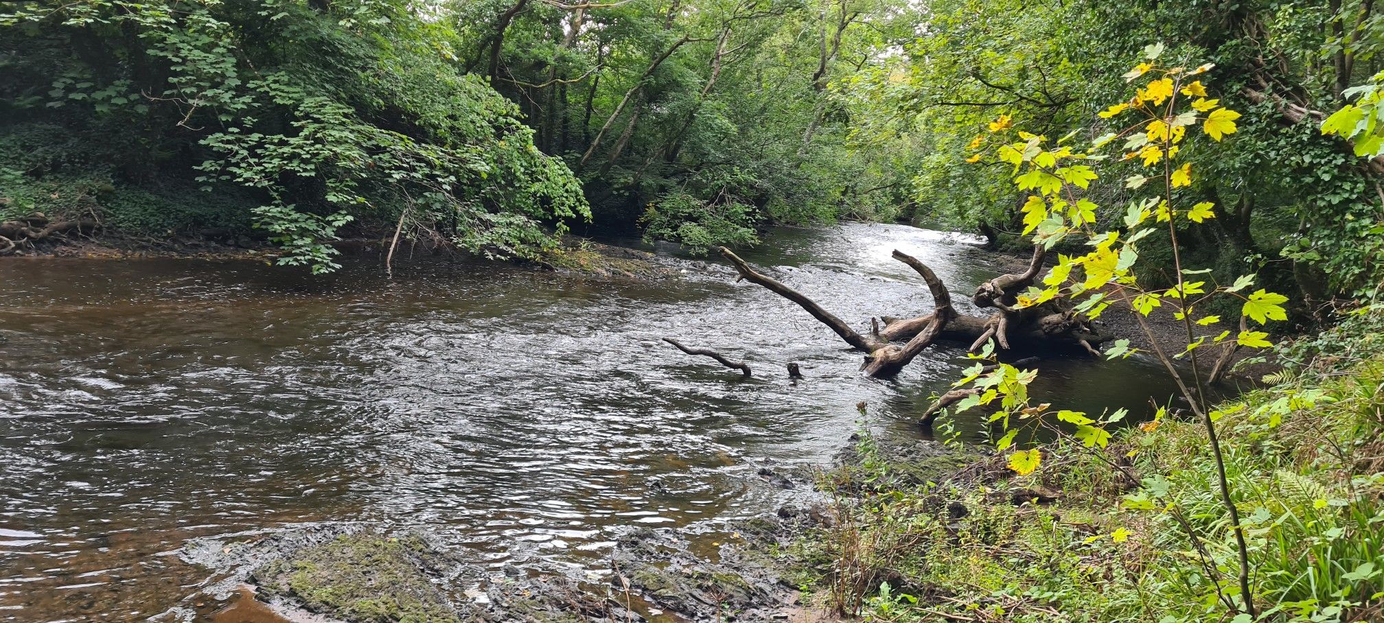 more river