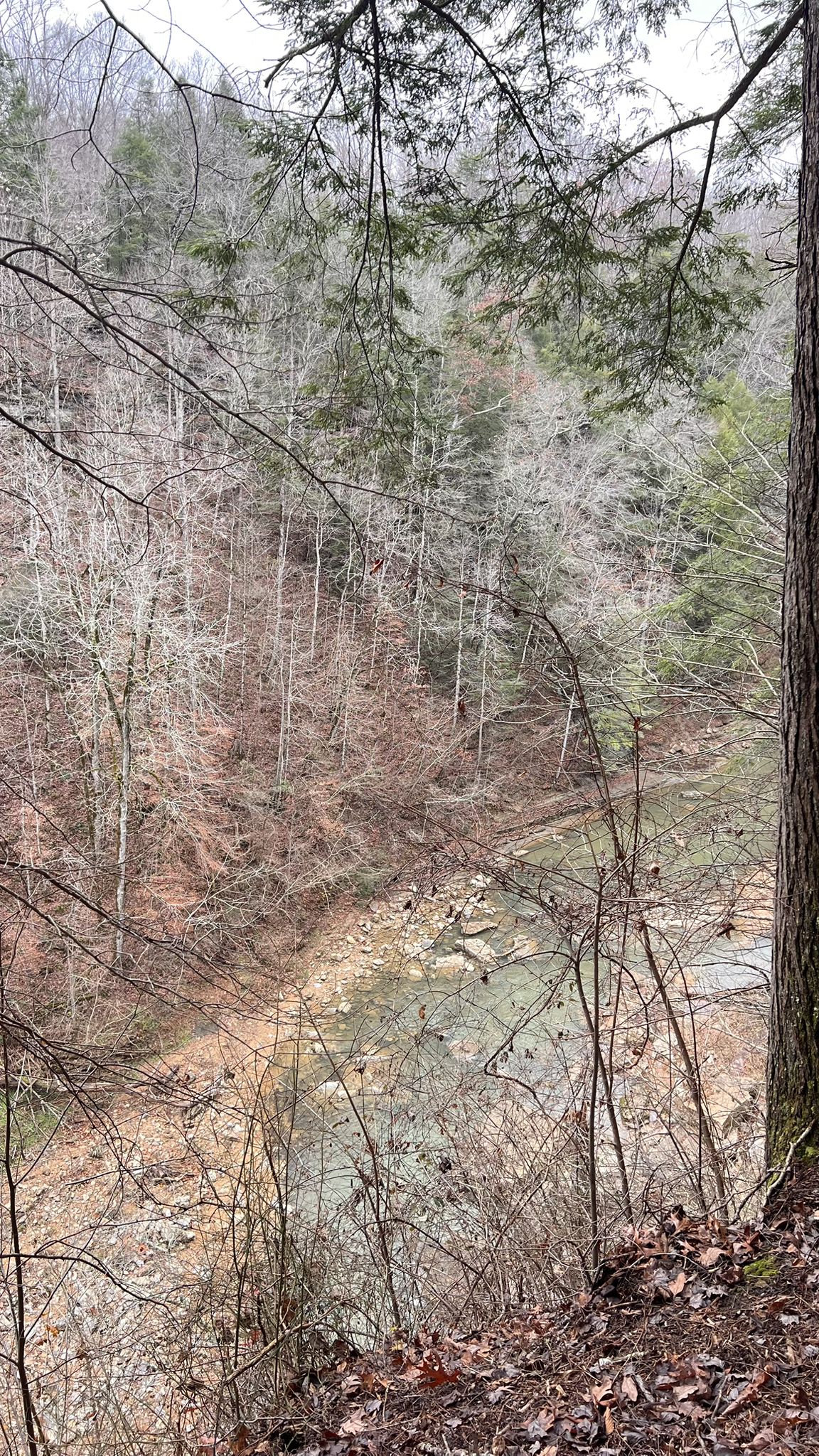 Overcast view of a river winding through a steep, forested valley. - Blackburn Fork River, Cummins Falls Overlook, and John Cummins Loop