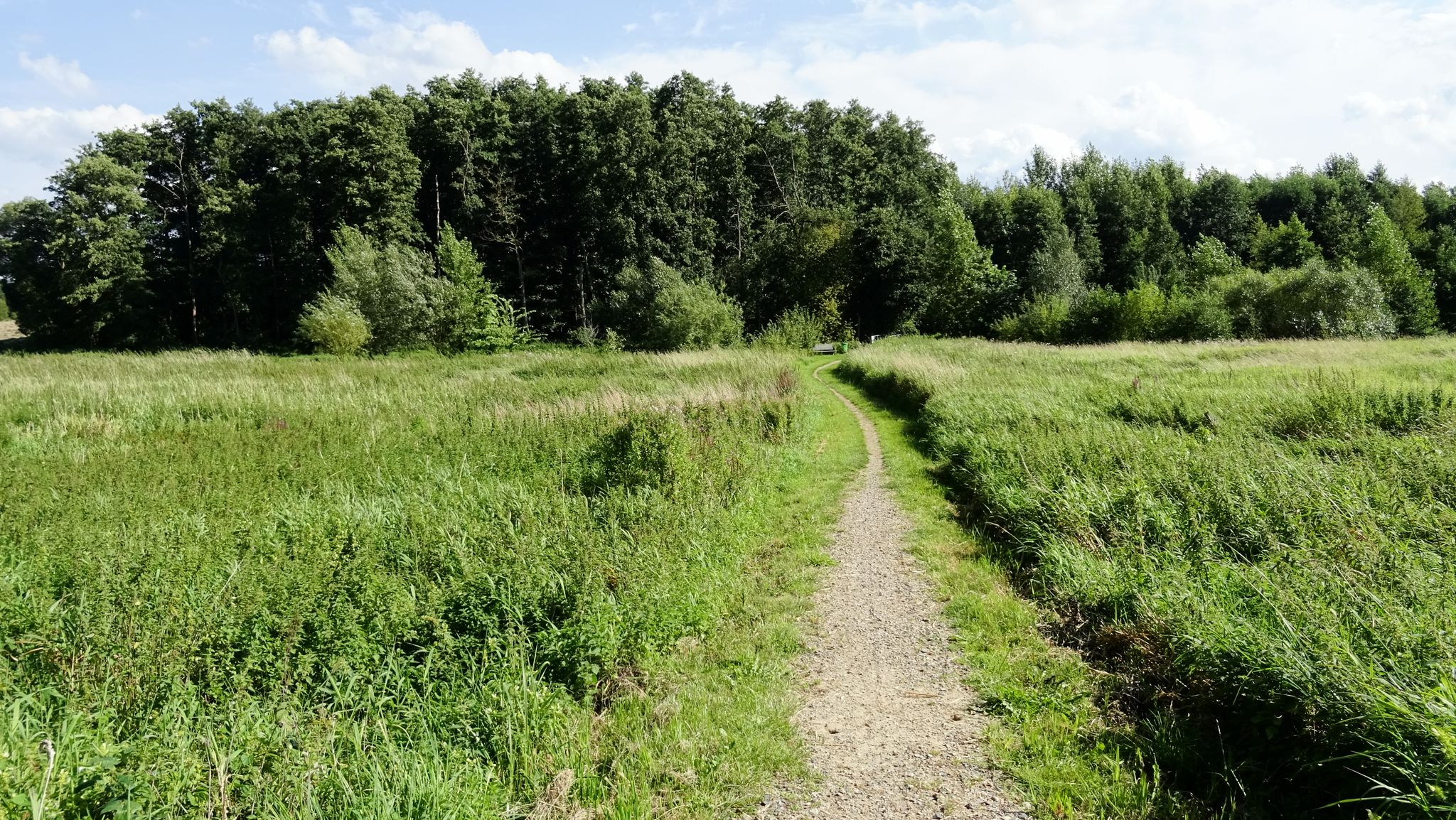 auf dem Weg zum Groß Pampauer Kiessee