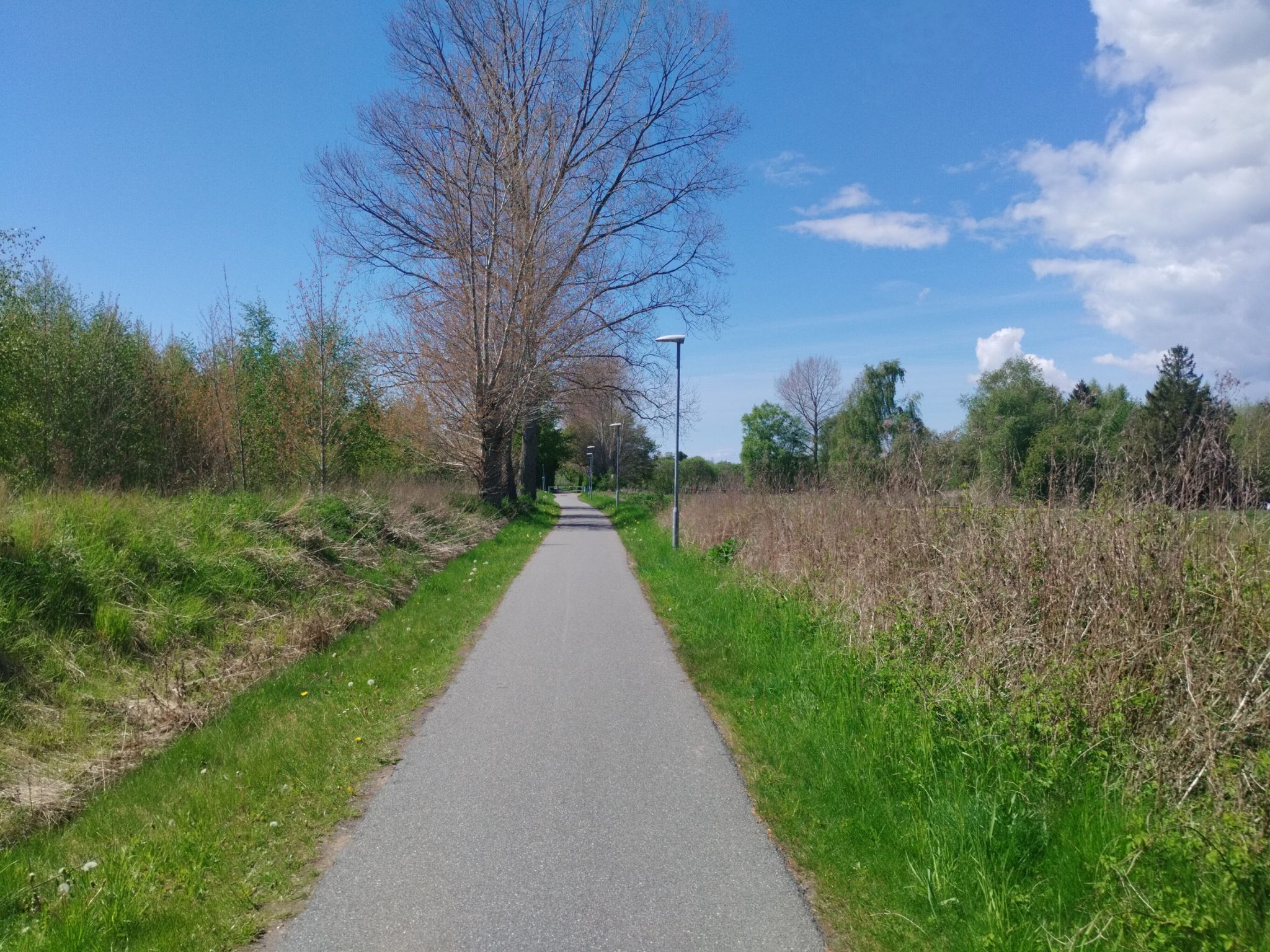 Radweg 