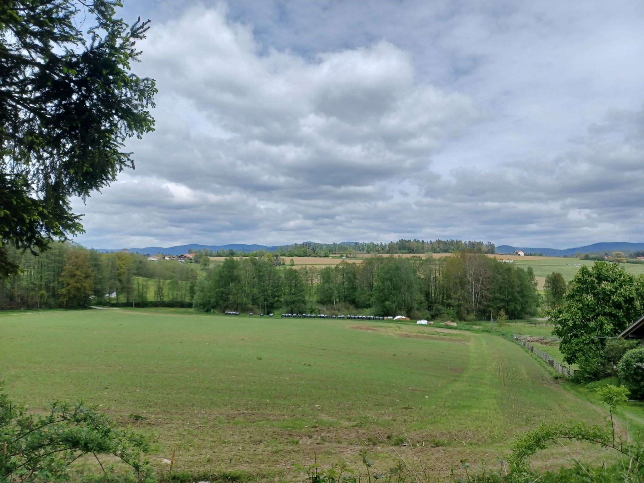 Blick auf Arber