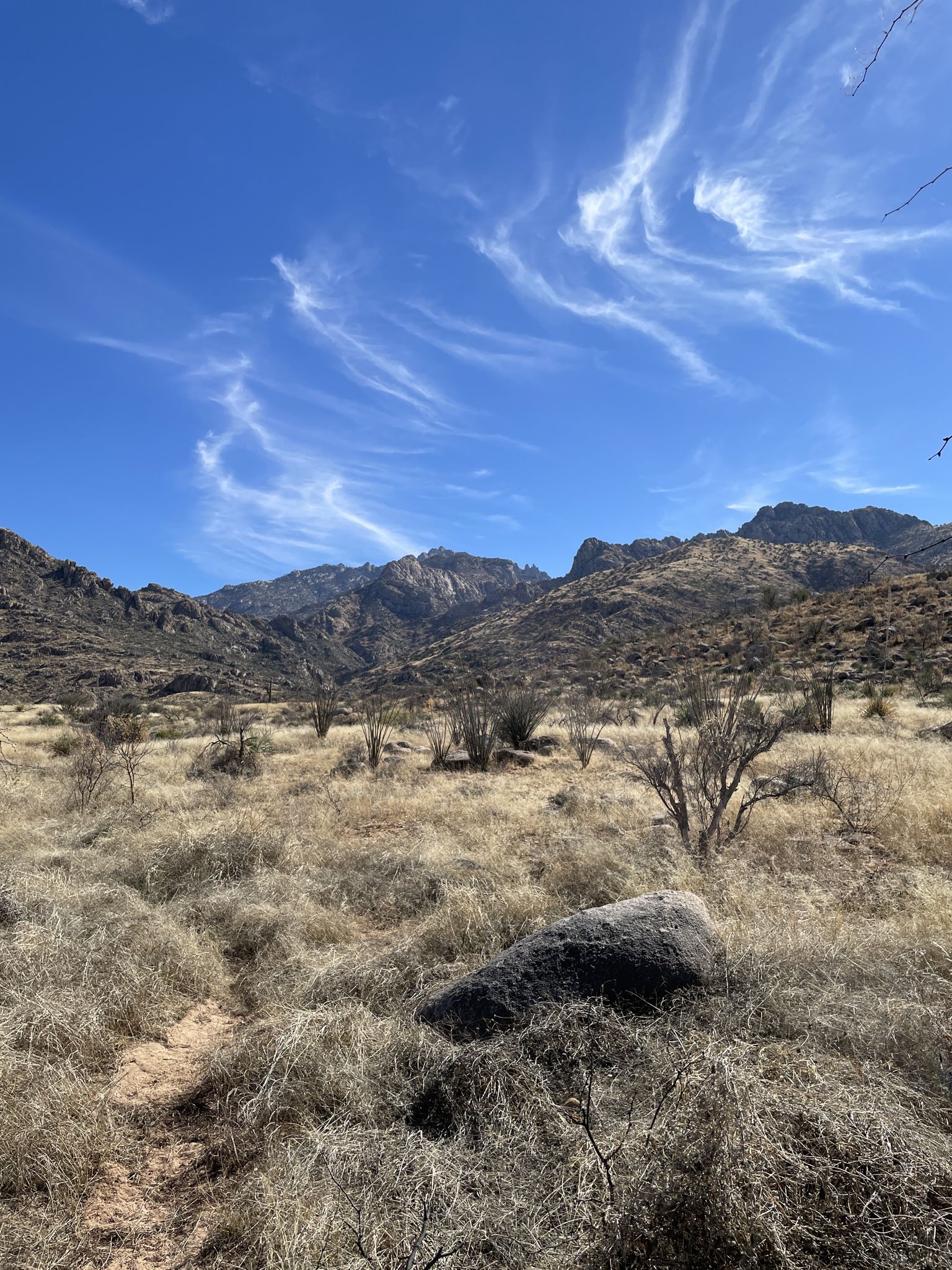 Sunny desert valley with dry grass, a large rock, and distant mountains. - Canyon Loop Trail