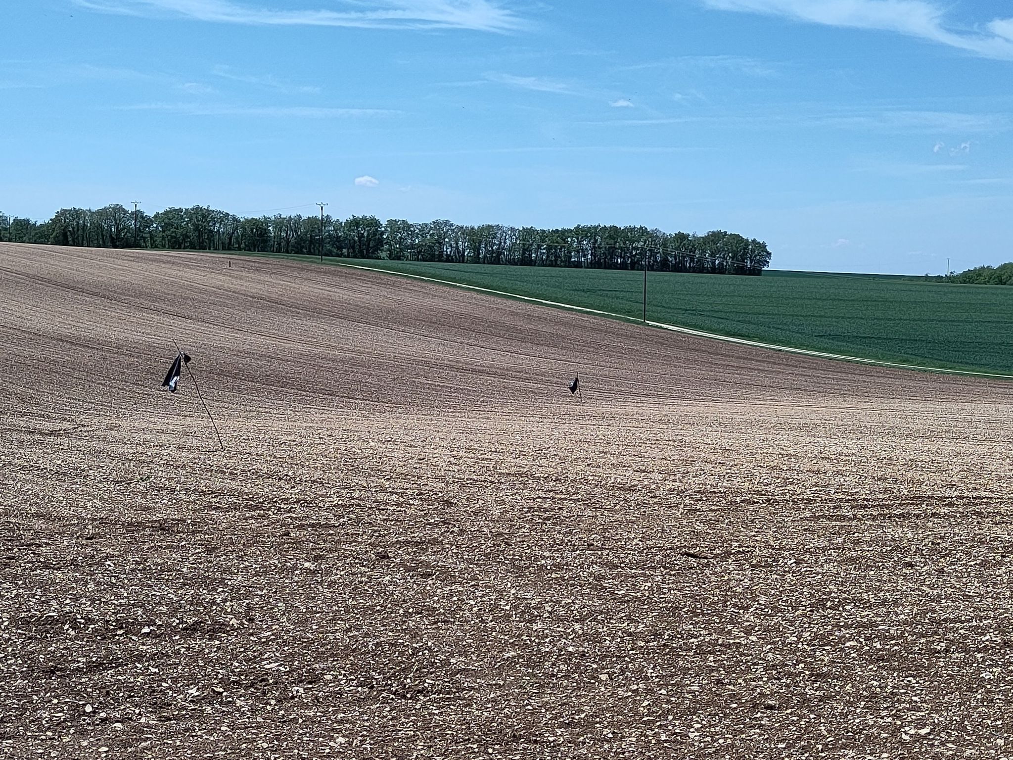 Vogelscheuchen auf den Feldern