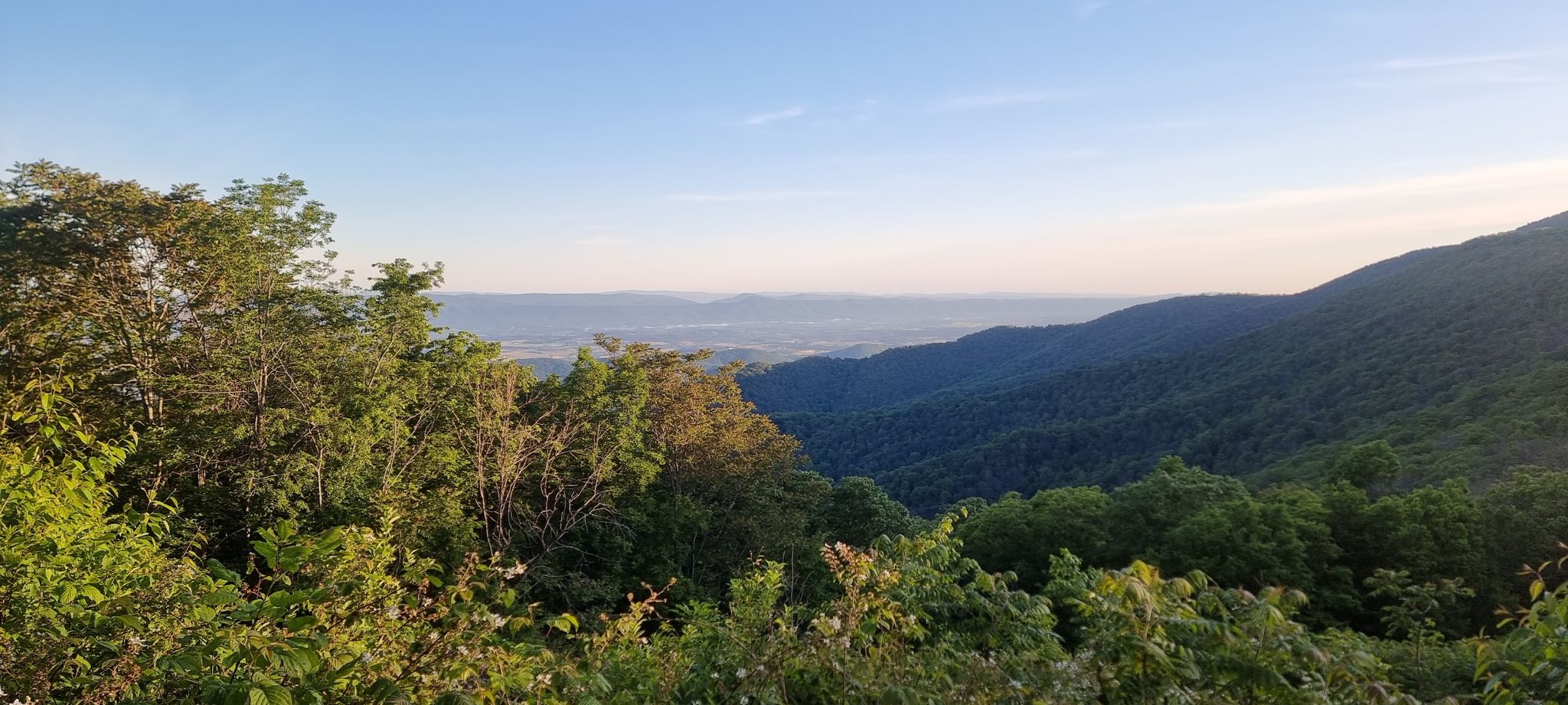 Expansive mountain vista with lush green trees and a distant valley under a clear sky. - Rose River Loop Trail