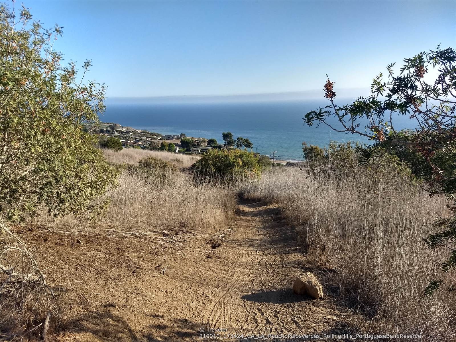 Dirt path through dry grass, leading towards the ocean under clear sky. - Forrestal Reserve loop from Rancho Palos Verdes