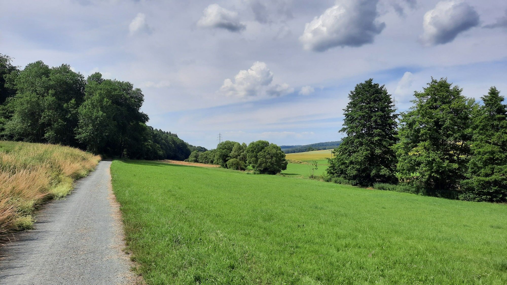 Schlabachwiesen am Erdbeerberg