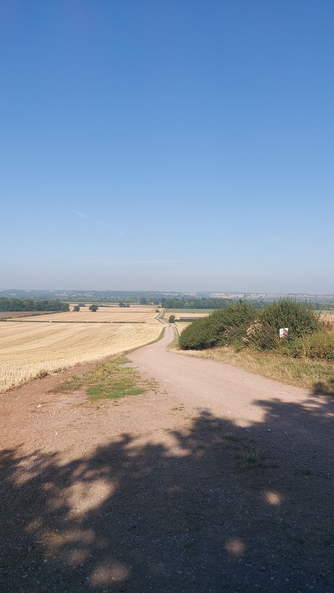 the lane to Shelford Manor 