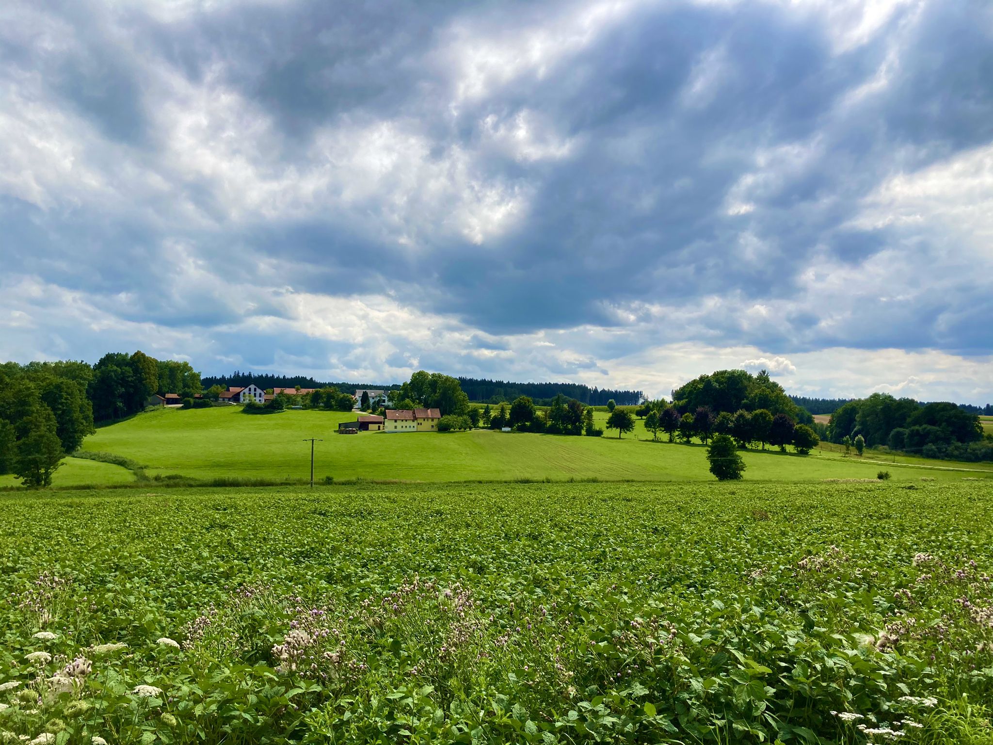 Nach dem 🌲🌳 hat man einen 👍🏻 Ausblick auf Gosmehring 😃