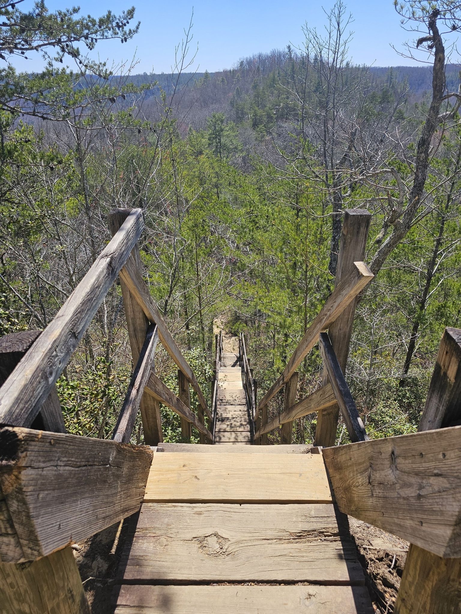 A long wooden staircase descends steeply into a lush green forest on a clear day. - North Arch (Twin Arches) – South Arch (Twin Arches) loop from Big South Fork