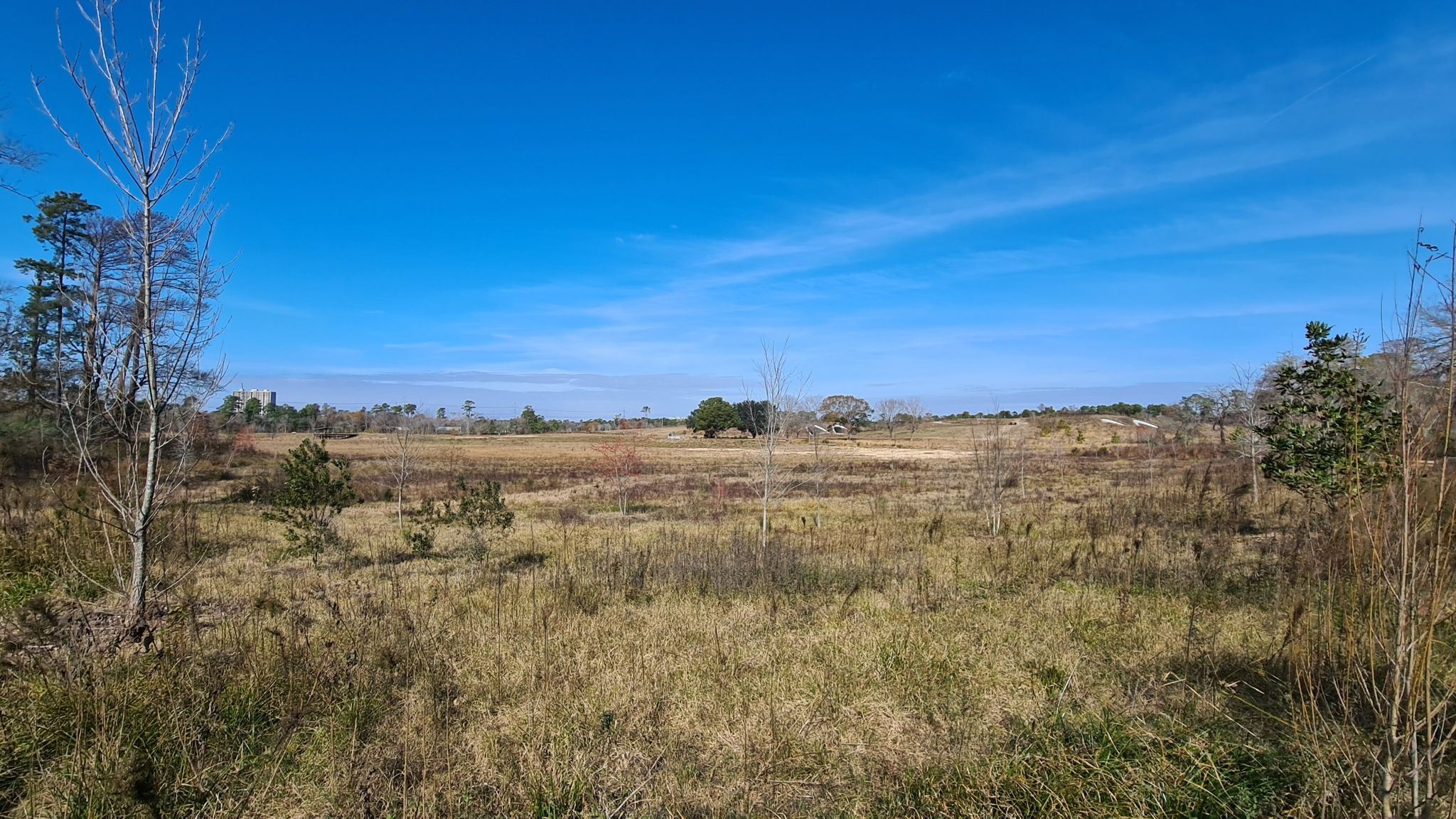 An expansive, dry grassy field under a clear blue sky with distant trees. - Memorial Park Pathway – Memorial Park loop from Rice Military