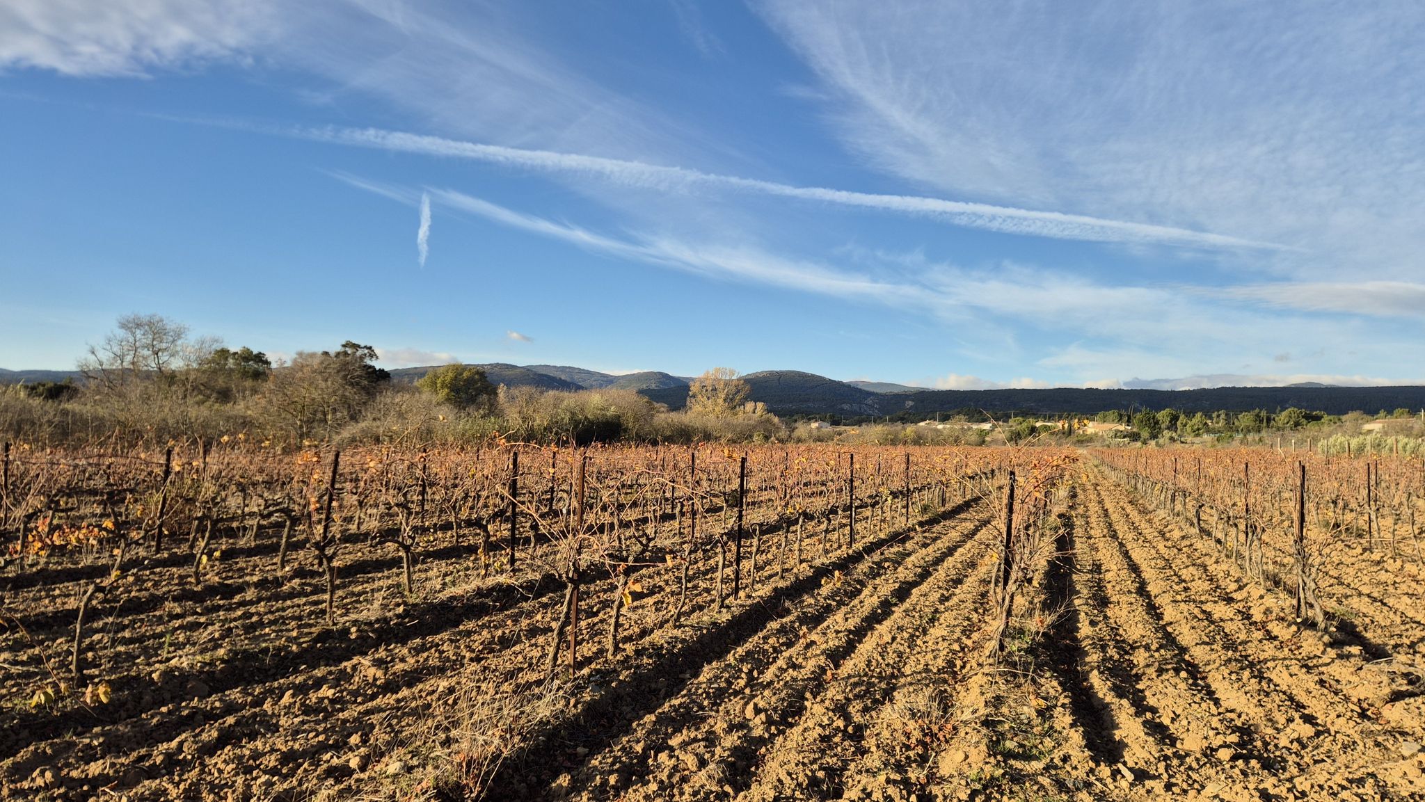 Trausse Minervois